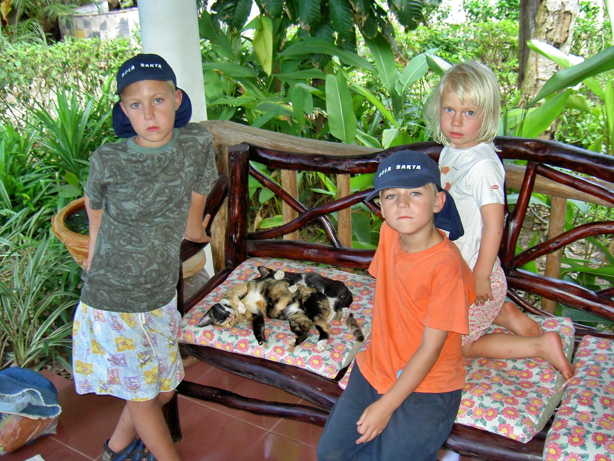 Kattfamilj på boendet