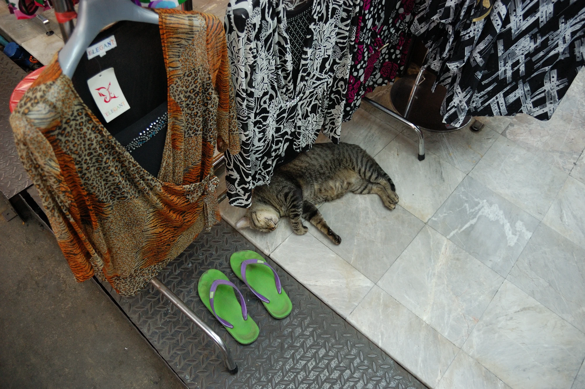 Trött katt vid någon shoppinggata