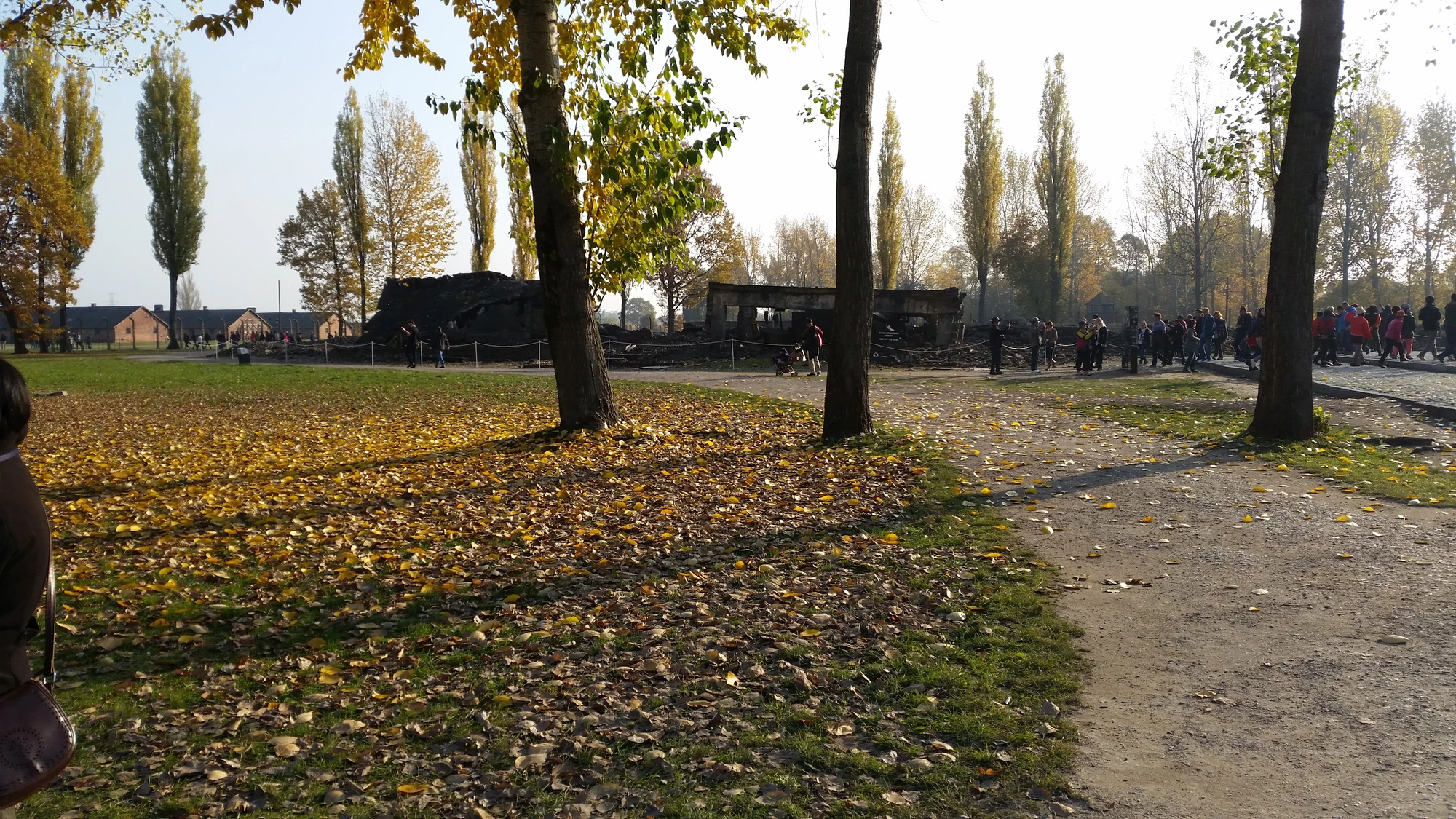 Ruinerna av Krematorium III
