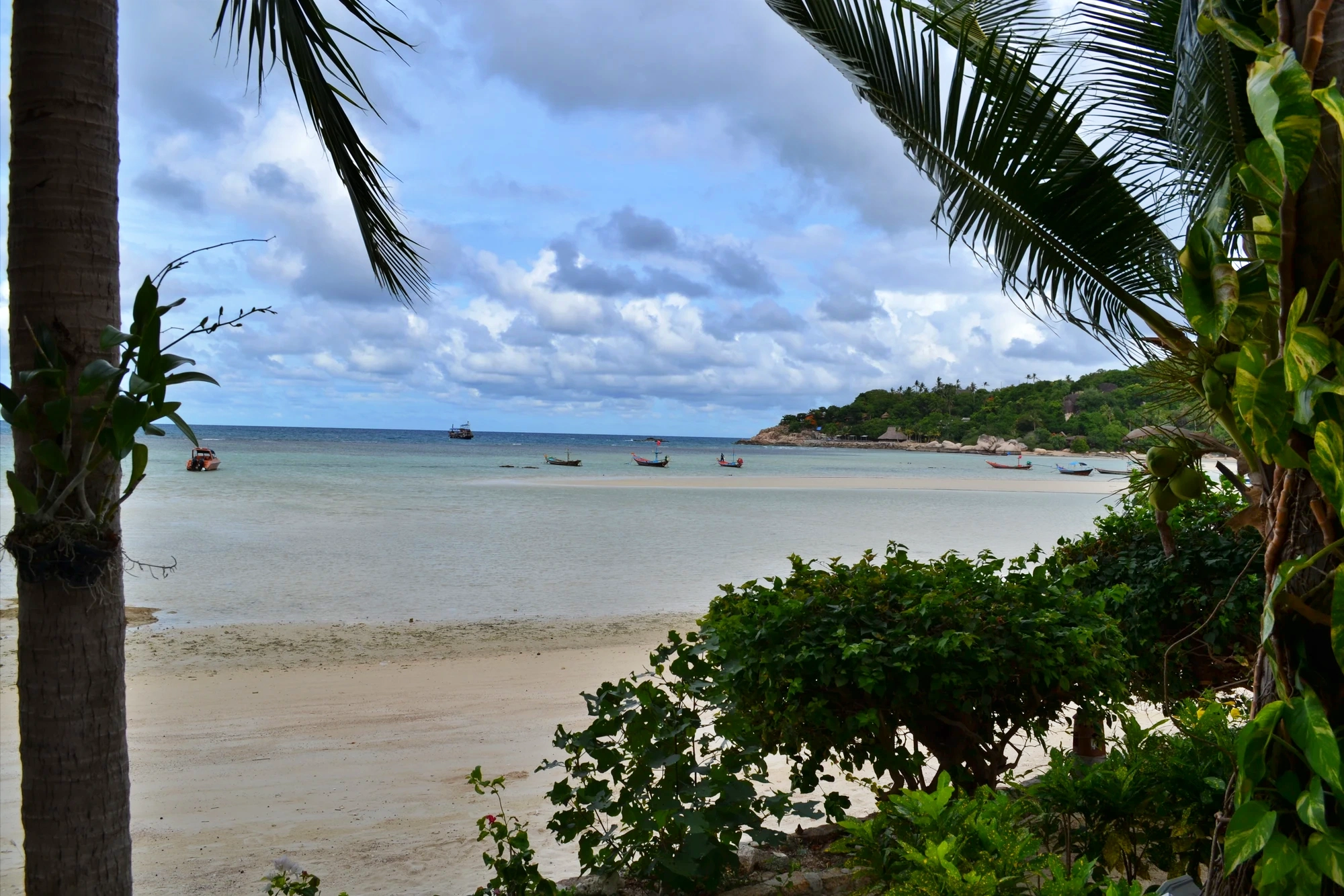 Koh Tao del120150616 DSC 0019