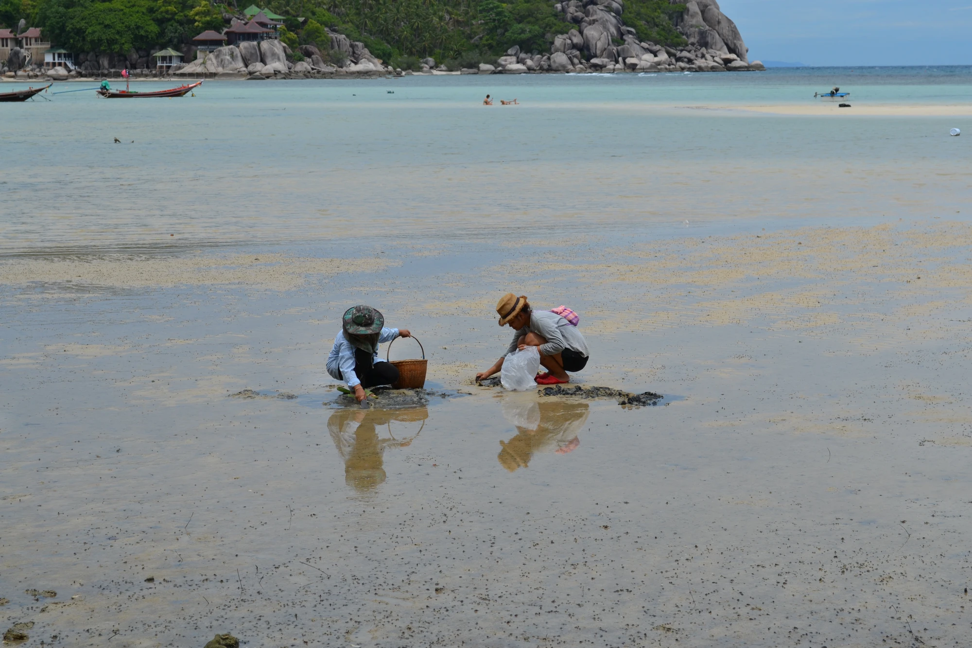 Koh Tao del120150616 DSC 0026