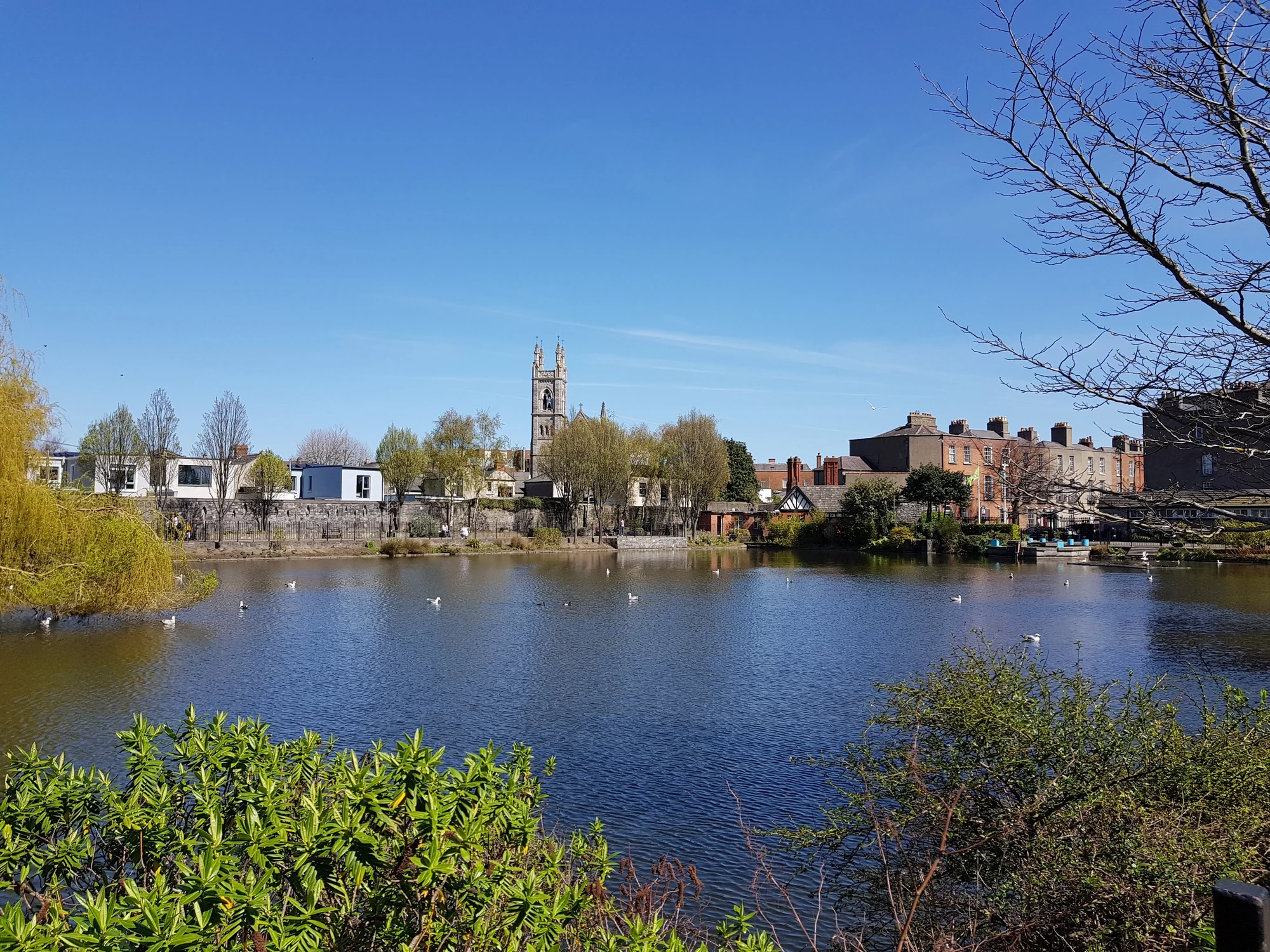 Blessington Street Park
