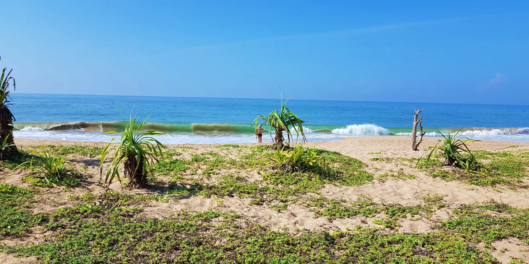Galle