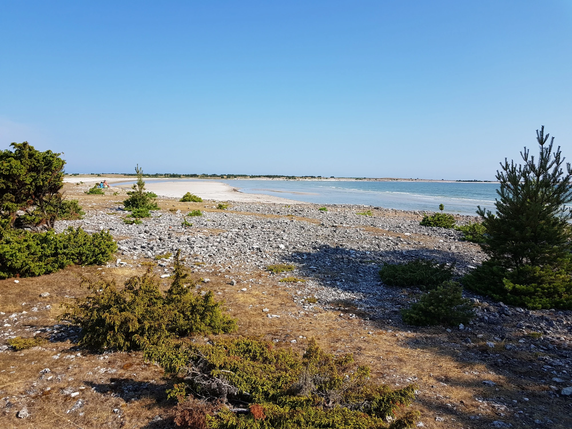 Också norra delen Fårö