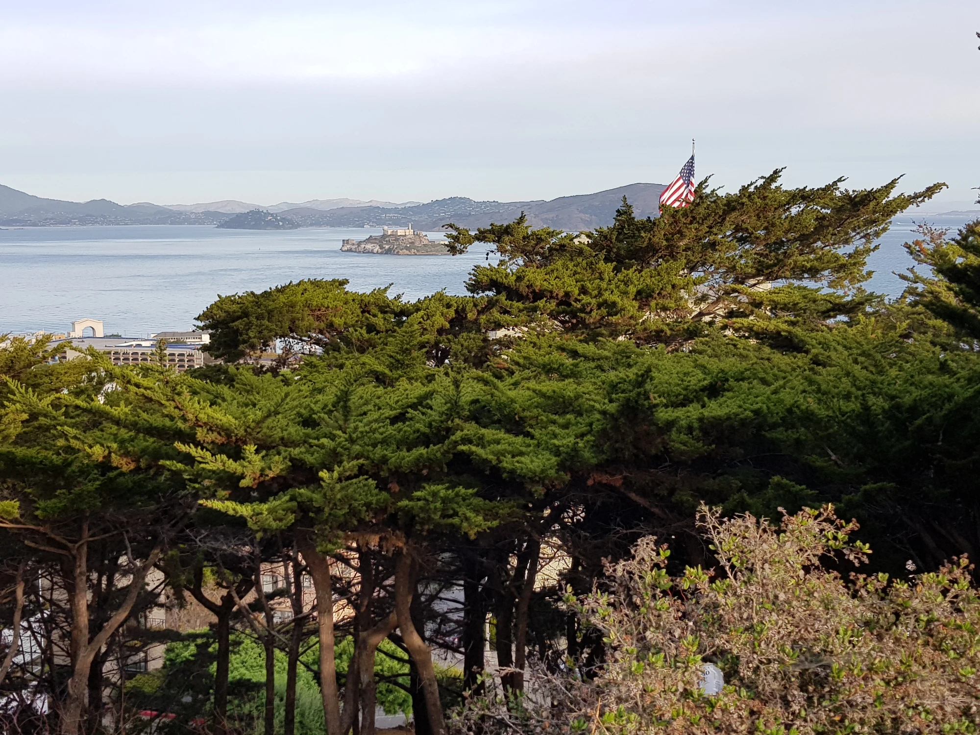 Vy från Pioneer Park med Alcatraz i bakgrunden