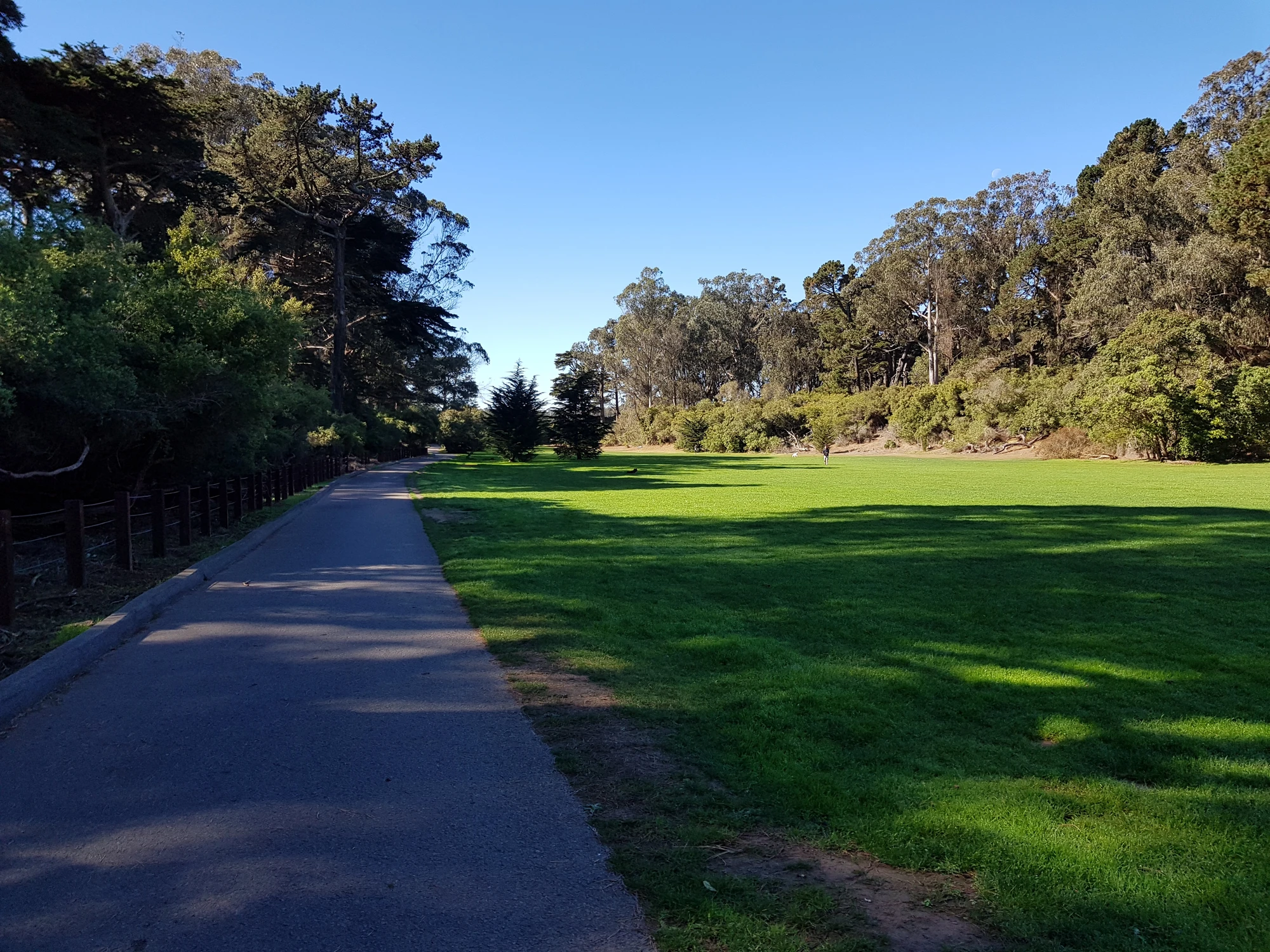 Golden Gate Park. Jag var så tidig, så det var ganska tomt med folk