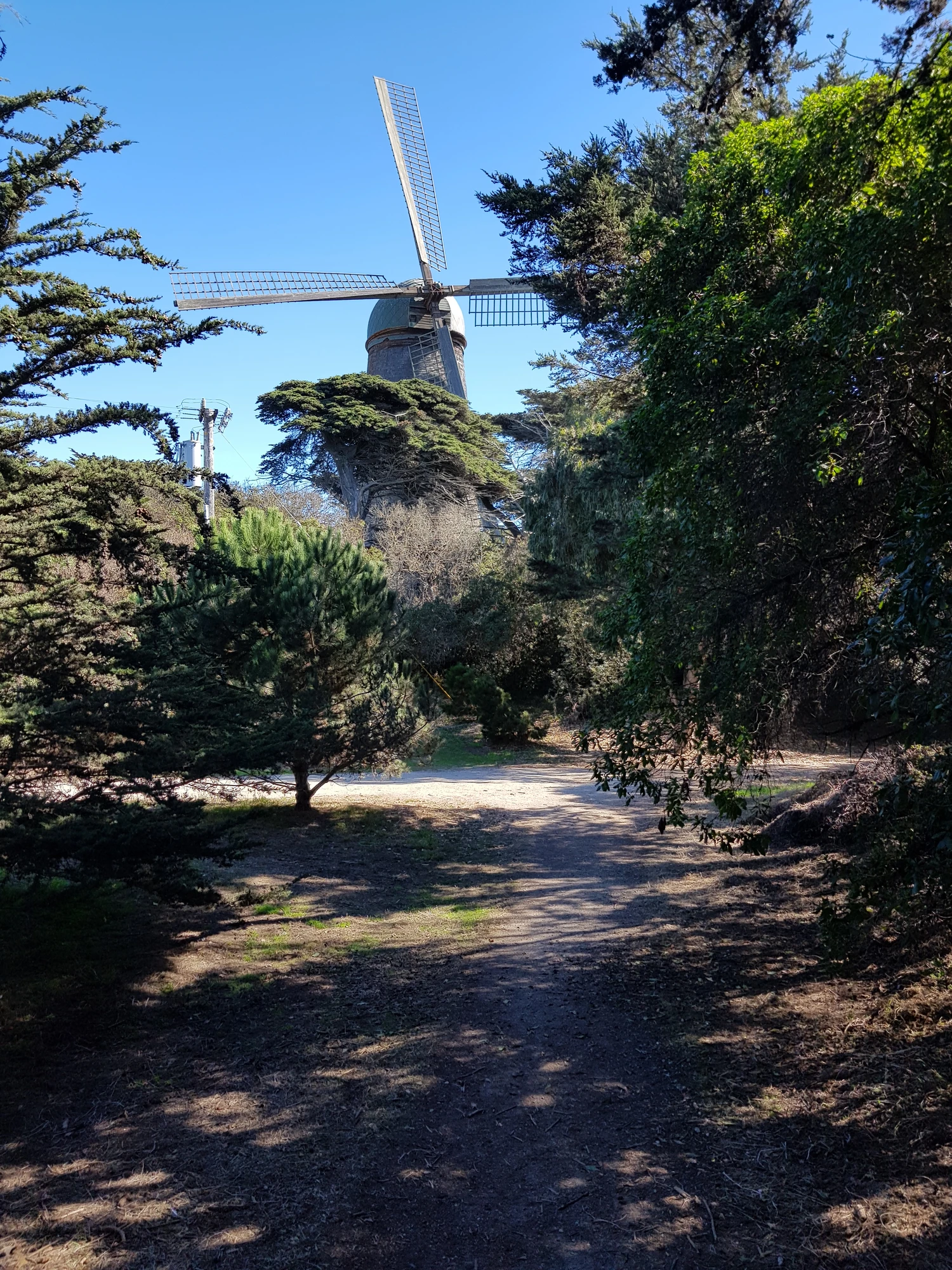 Queen Wilhelmina Garden