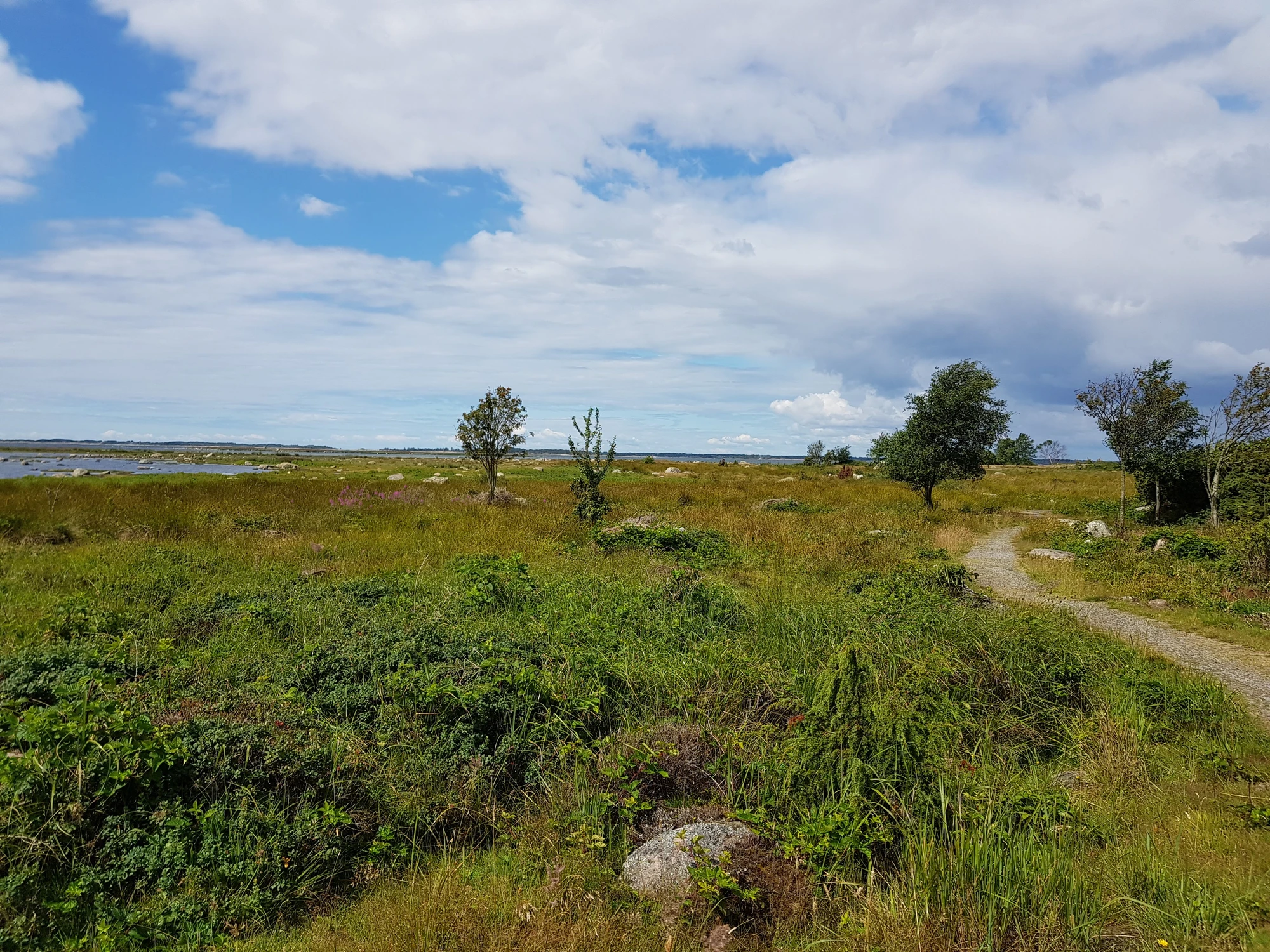Cykeltur Torhamns udde, blandat sjukt uselt väder och sol. Cykeltur Torhamns udde, blandat sjukt uselt väder och sol.