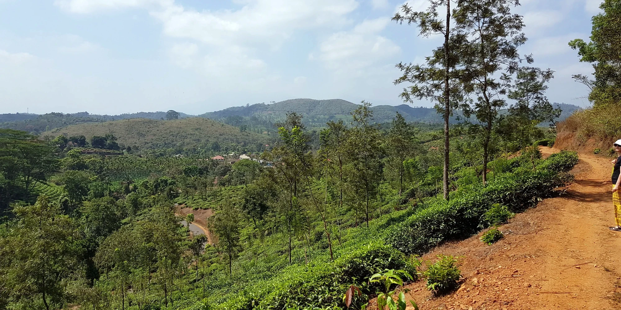 Thalappuzha
