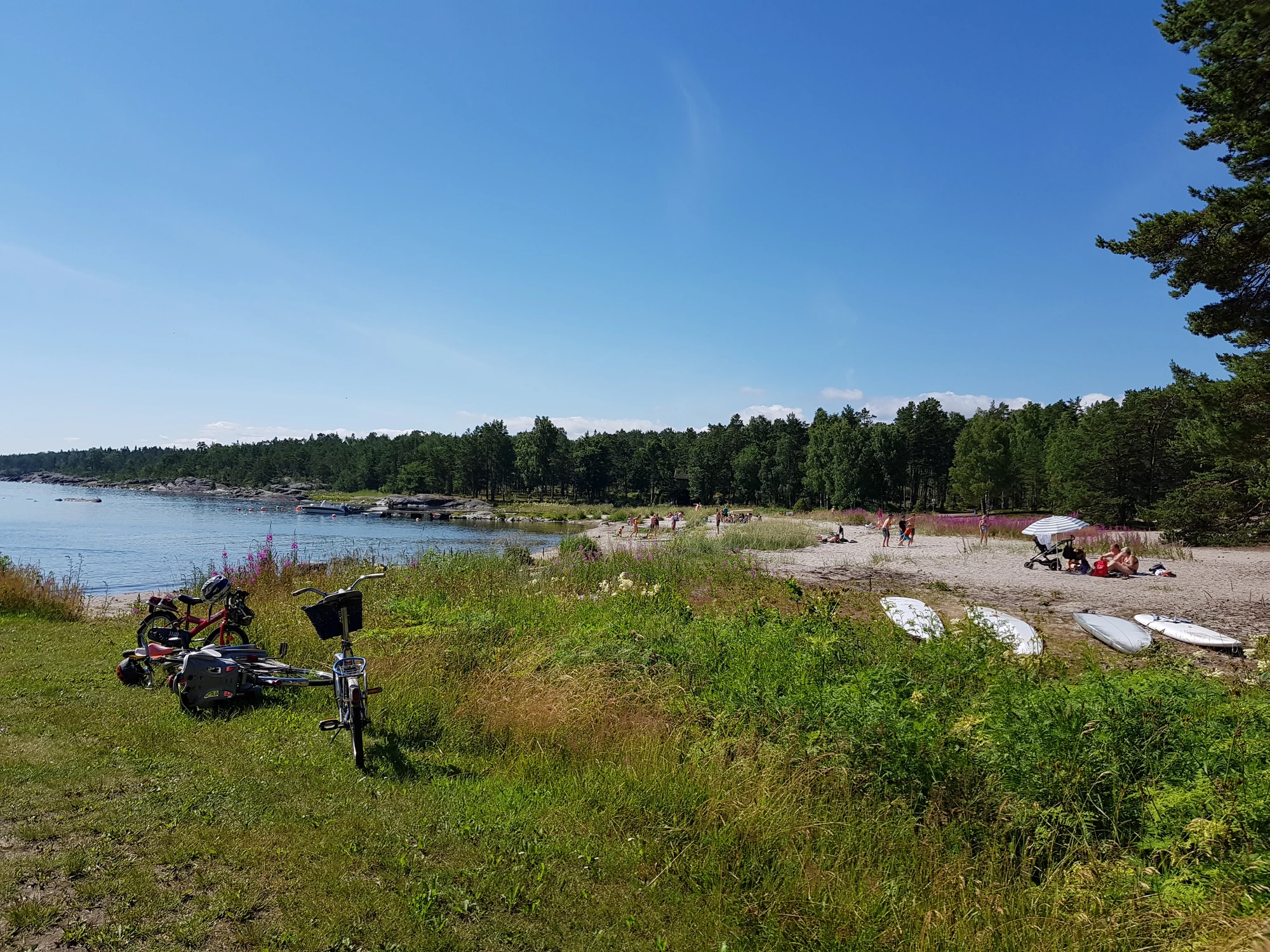 Grisslehamn2020 20200716 105931