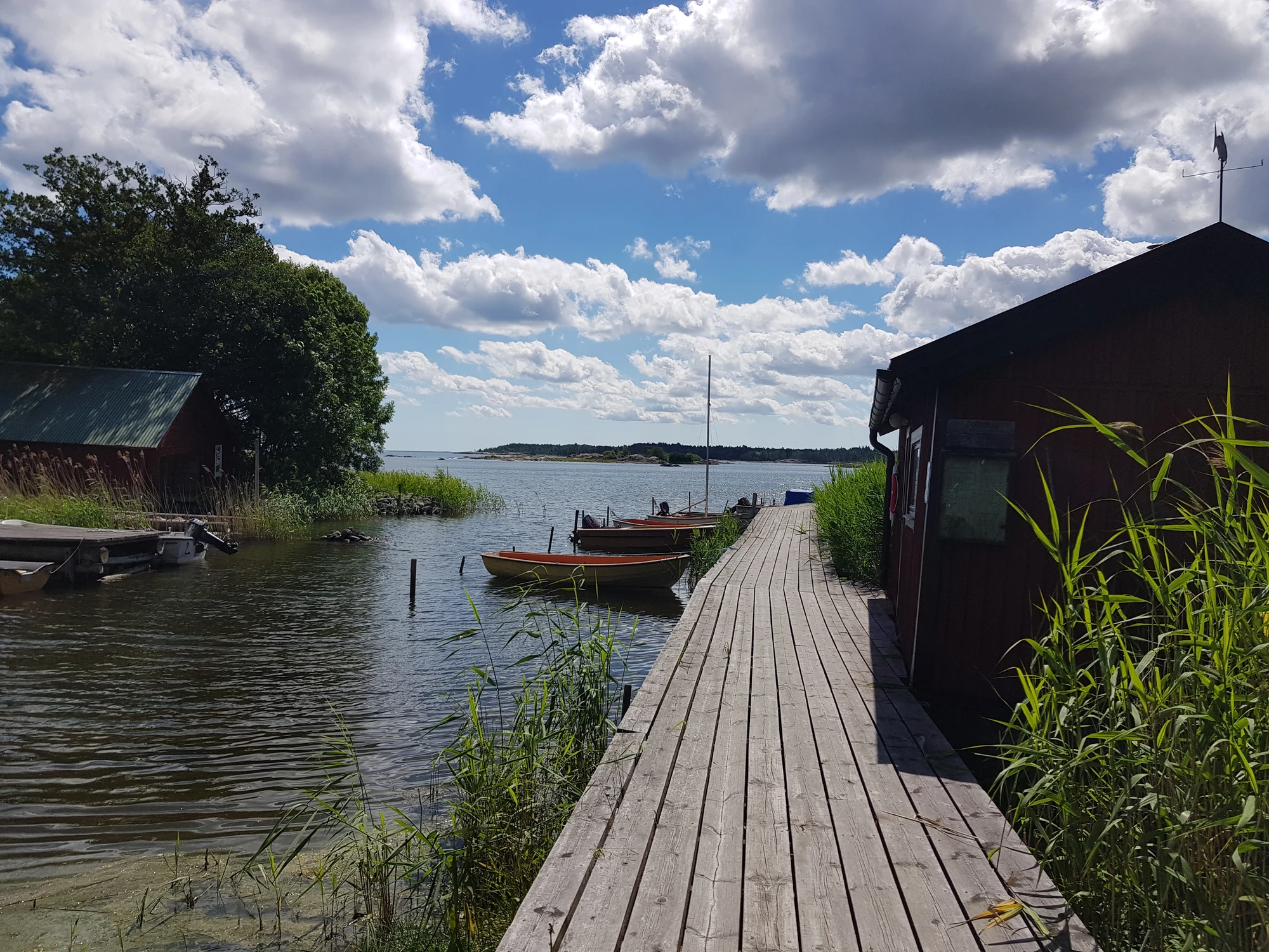 Grisslehamn2020 20200718 115717