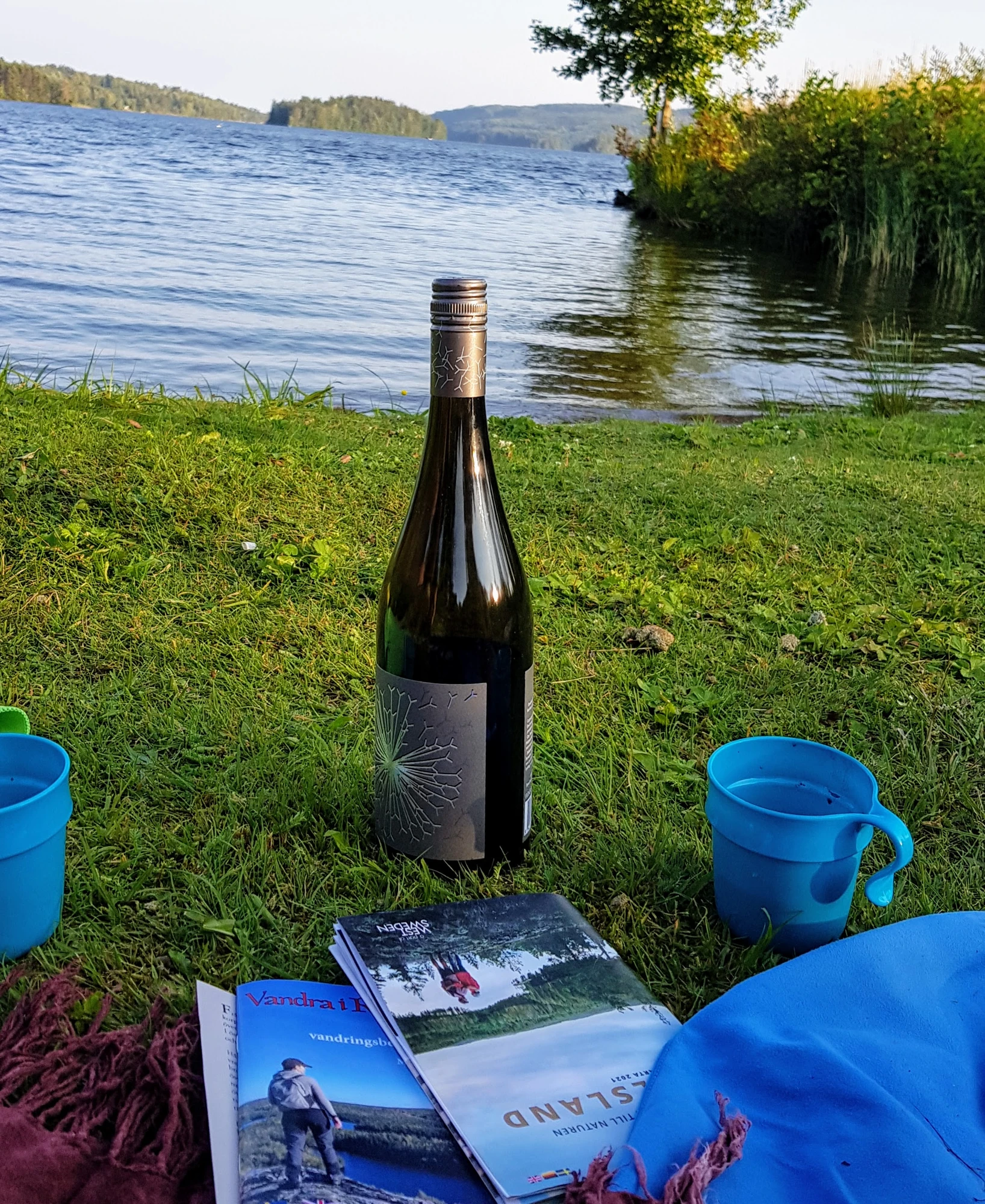 Mysig picknick strax nedanför boendet i Fröskog.