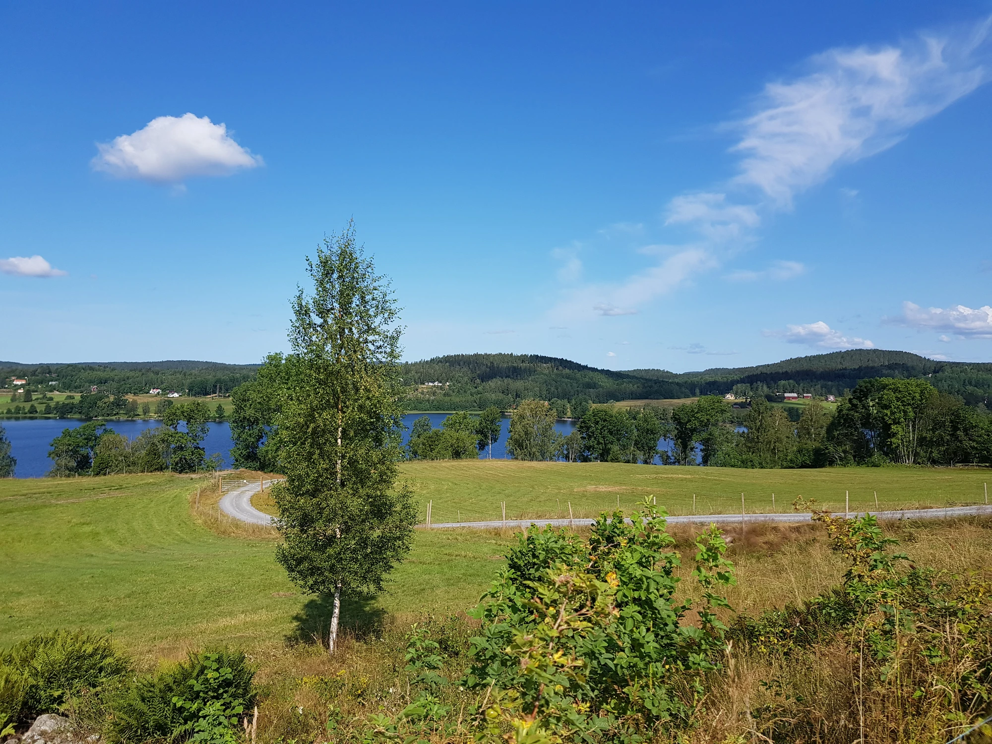 Vy från cykelturen, andas ganska mycket Sverige