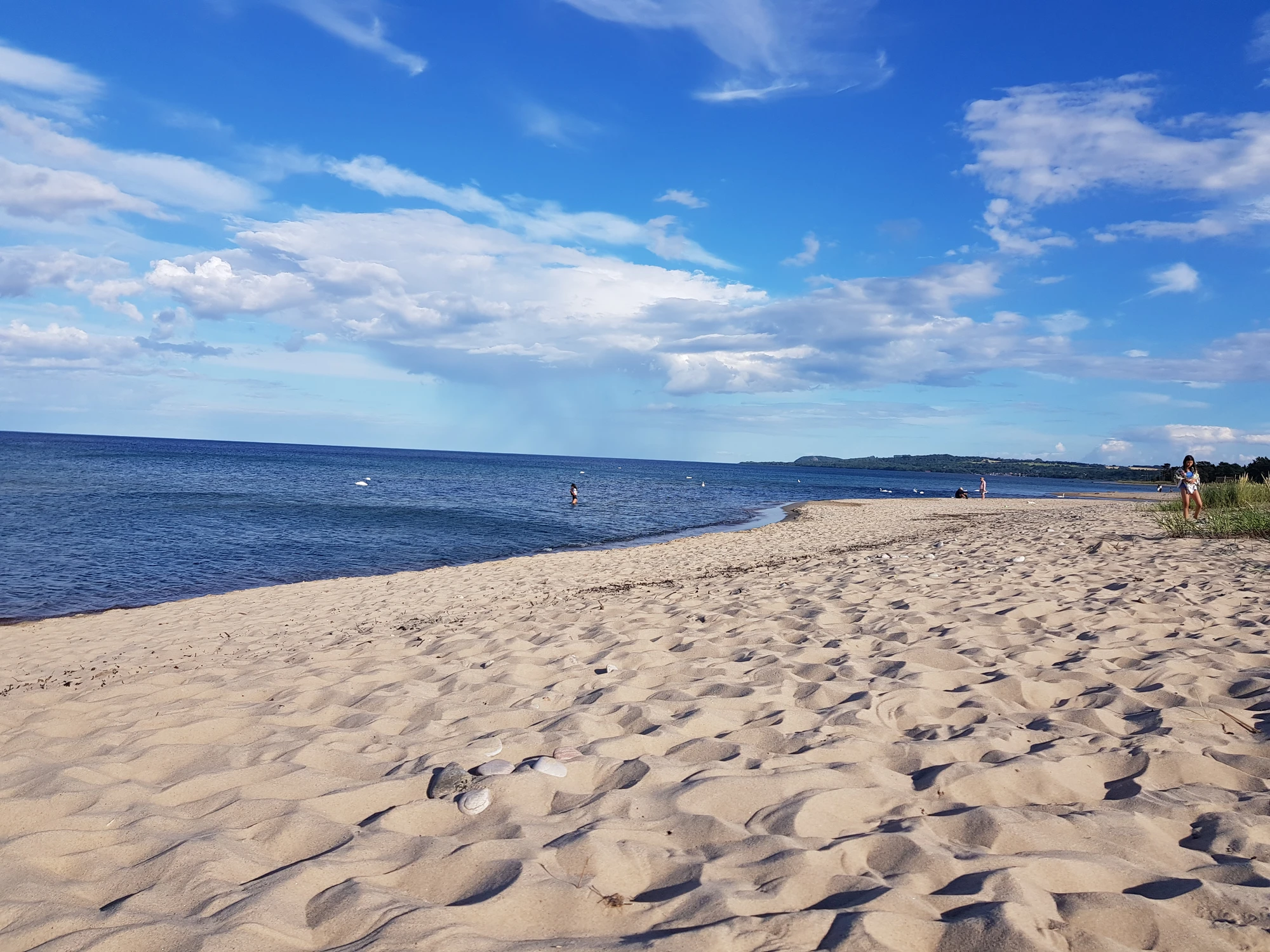 Vy från haväng mot Kivik