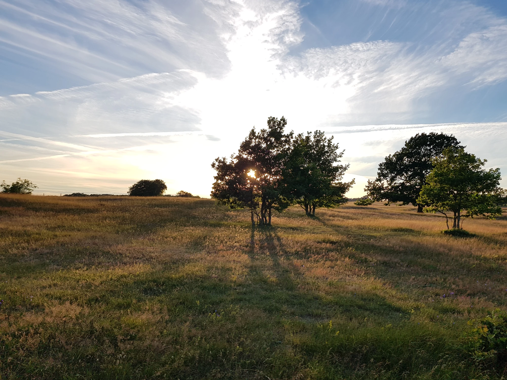 Skåne/Haväng 10-19 Juli