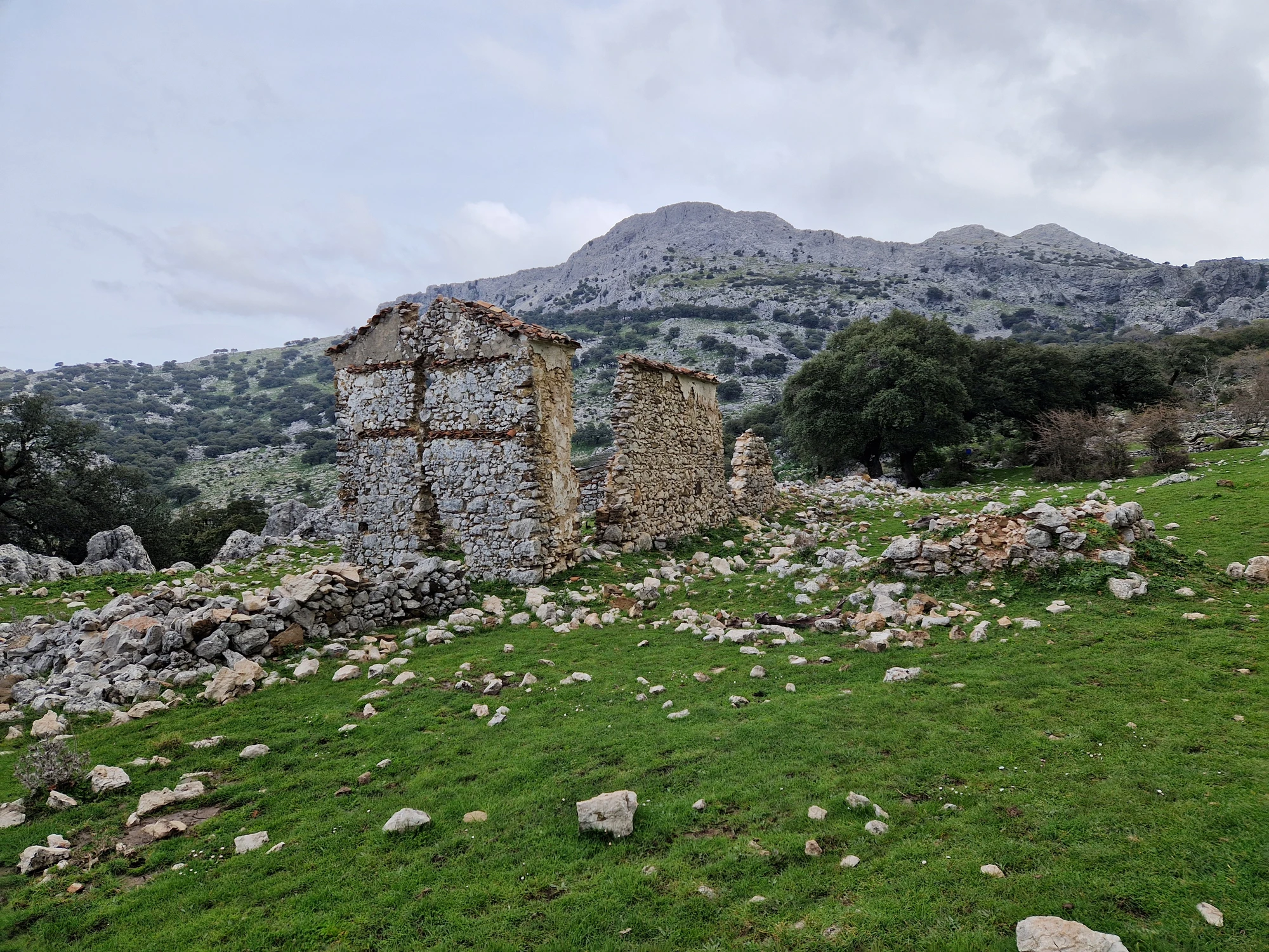 Vandring 1 Grazalema