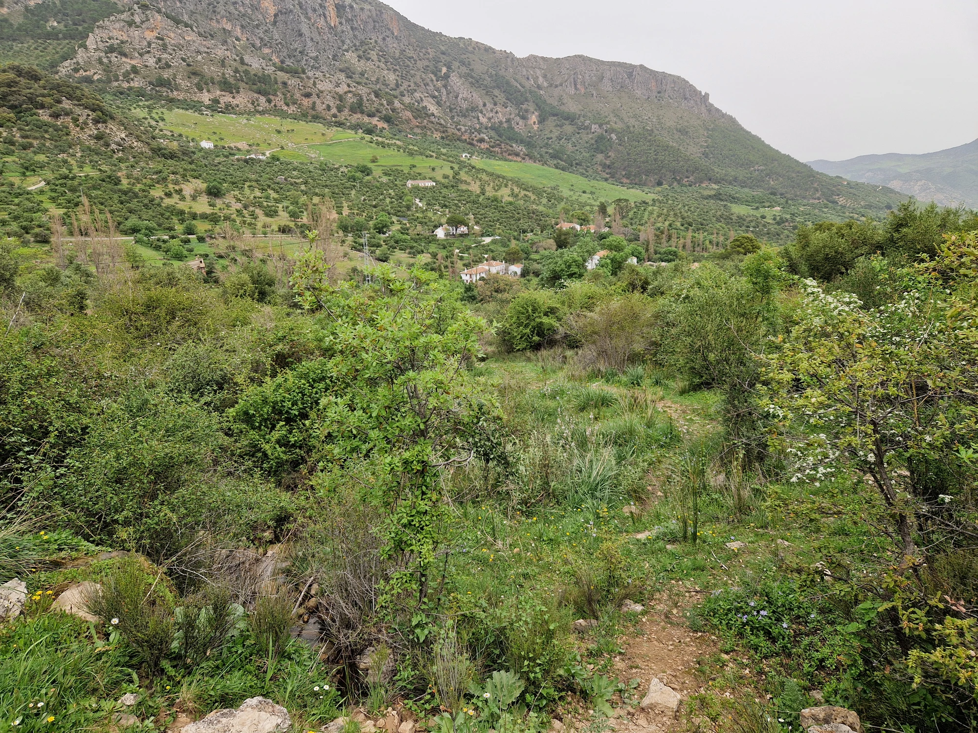 Vandring 3 norr om staden Grazalema