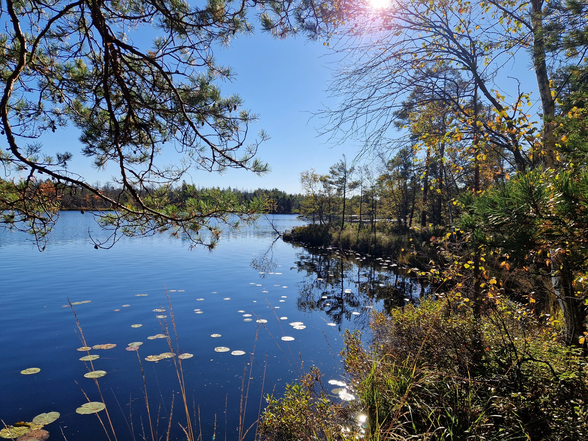 Långsjön Paradiset Huddinge