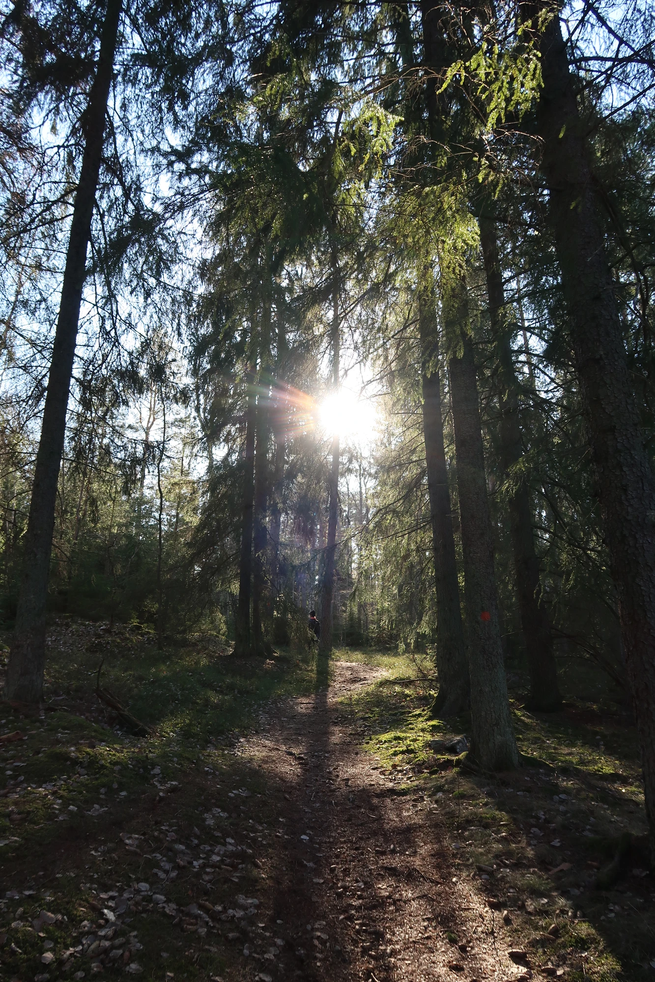 Vandring Ytterjärna