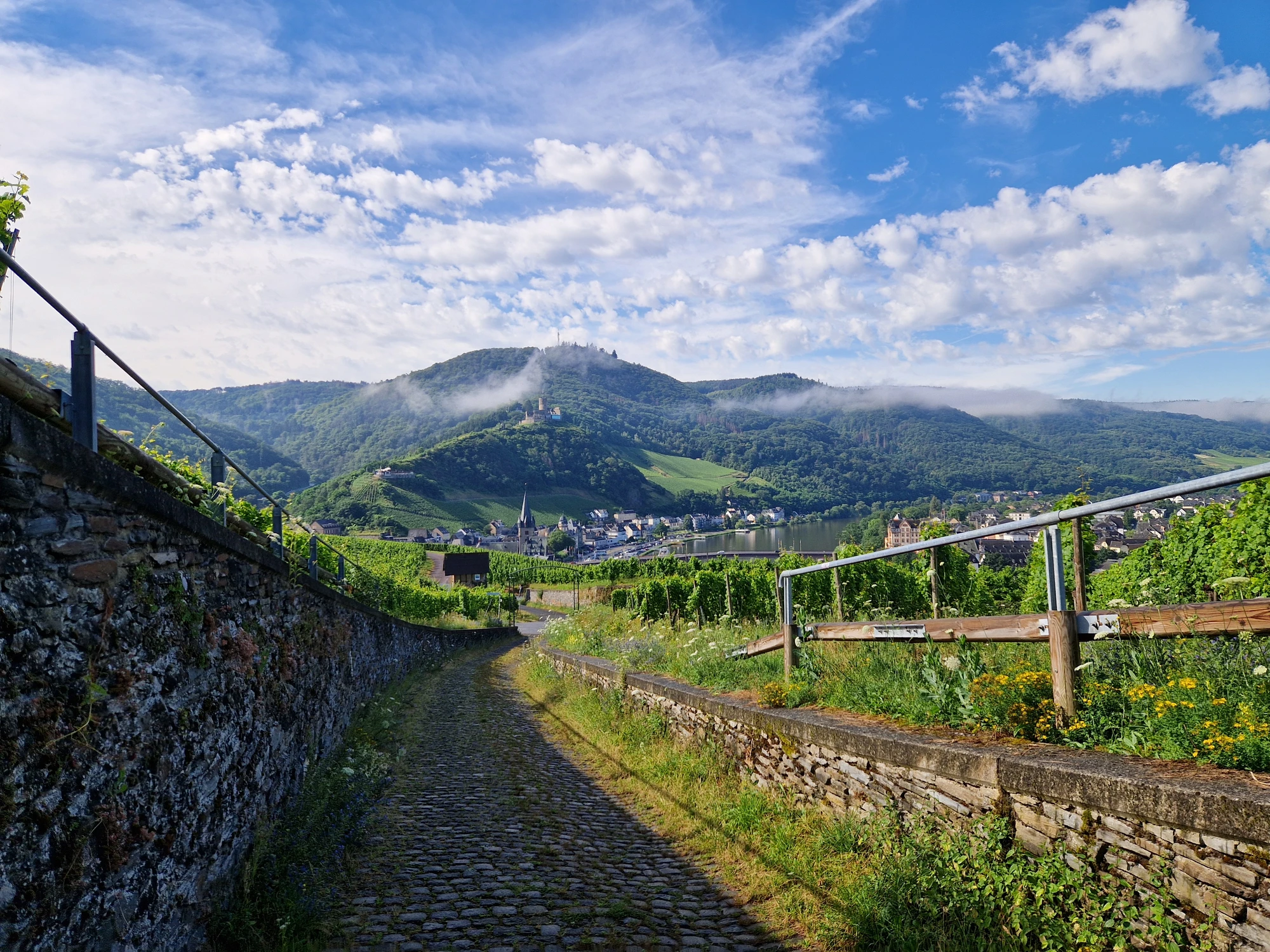 Borgen  Bernkastel-Kues
