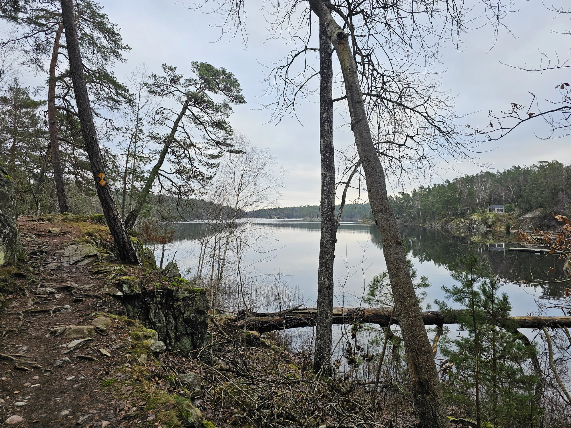 Höstvandring 8
