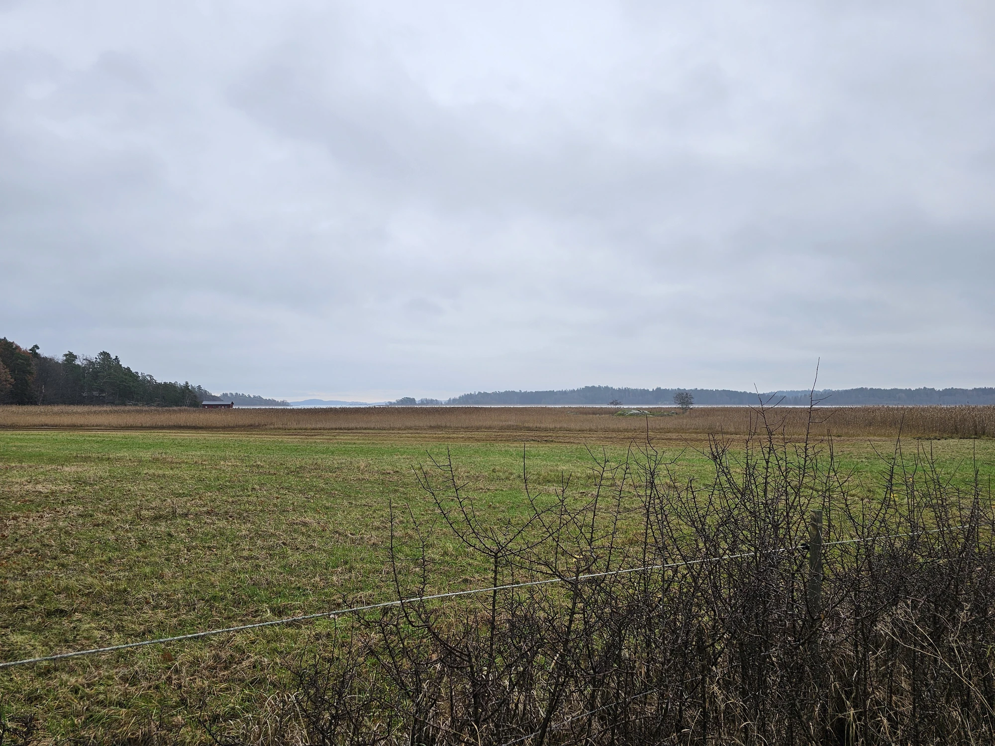 Höstvandring 3