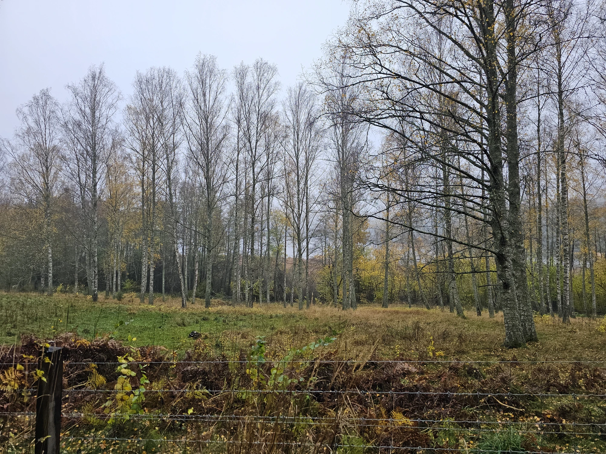 Höstvandring 2