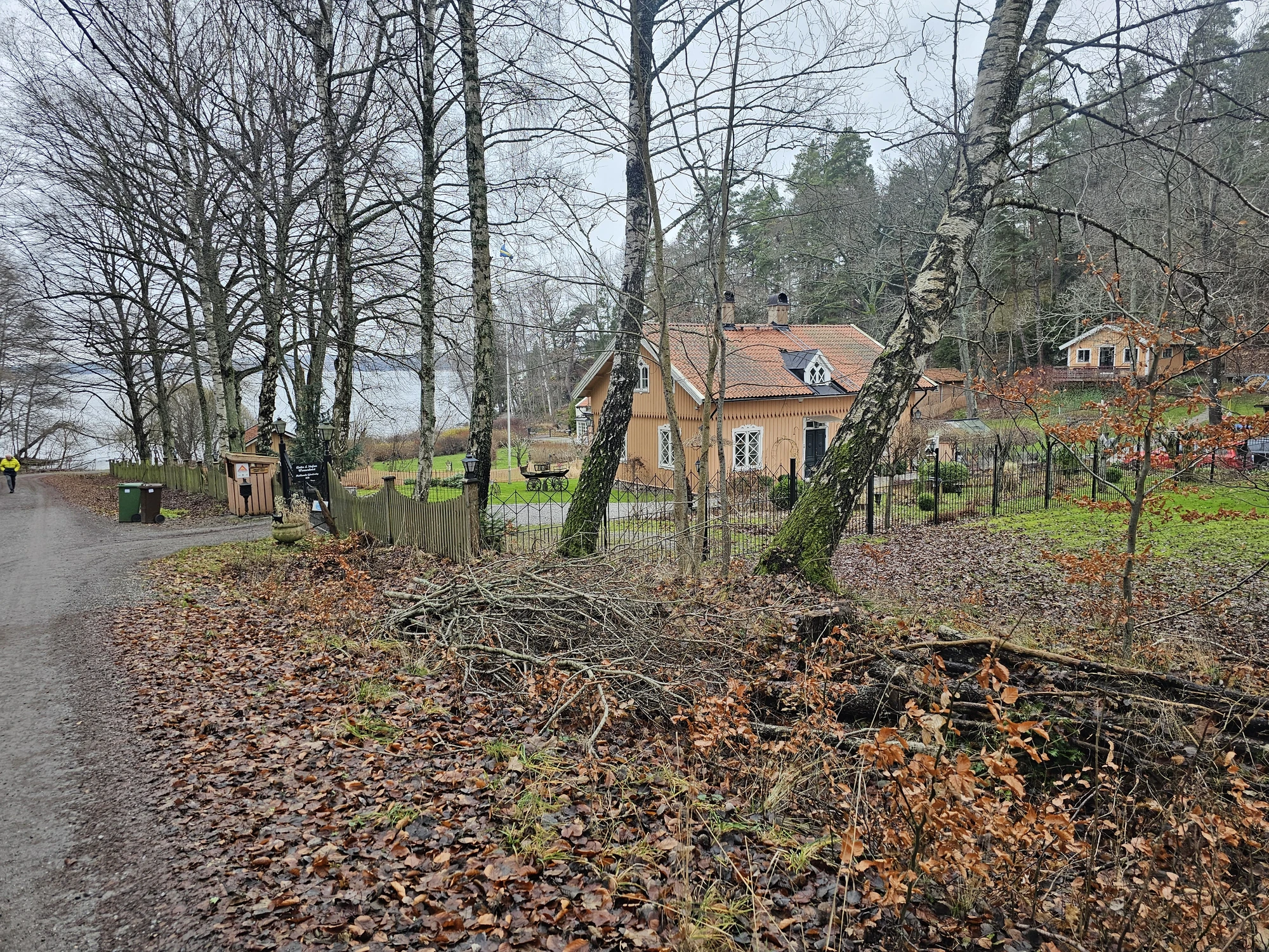 Hostvandr20251215 110655 001