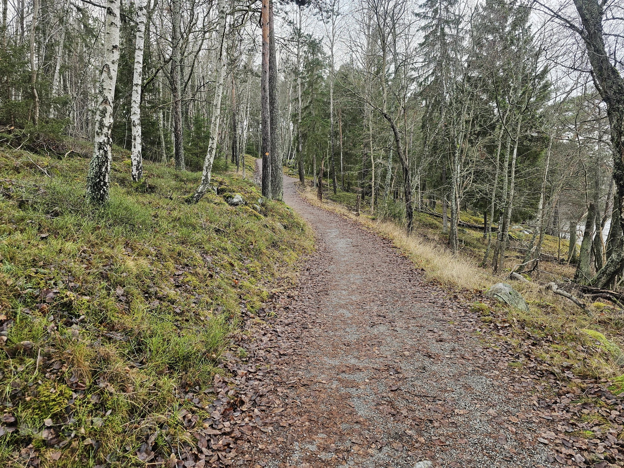 Höstvandring 7
