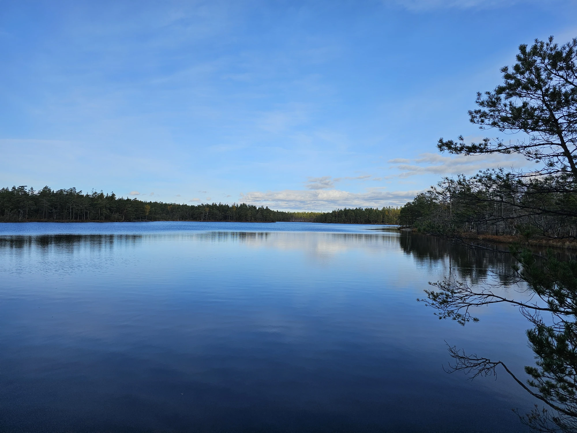 Höstvandring 1