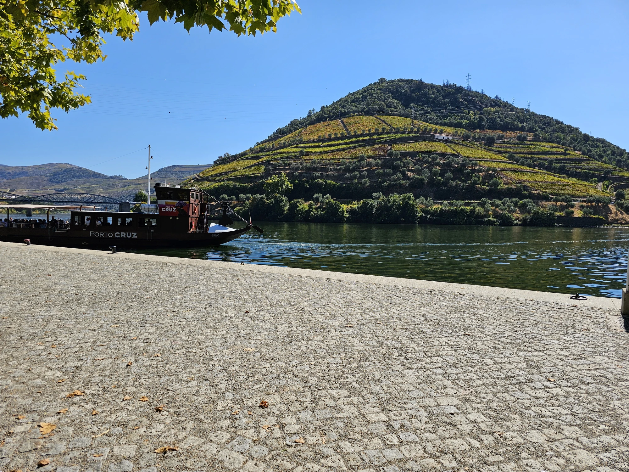 Pinhão