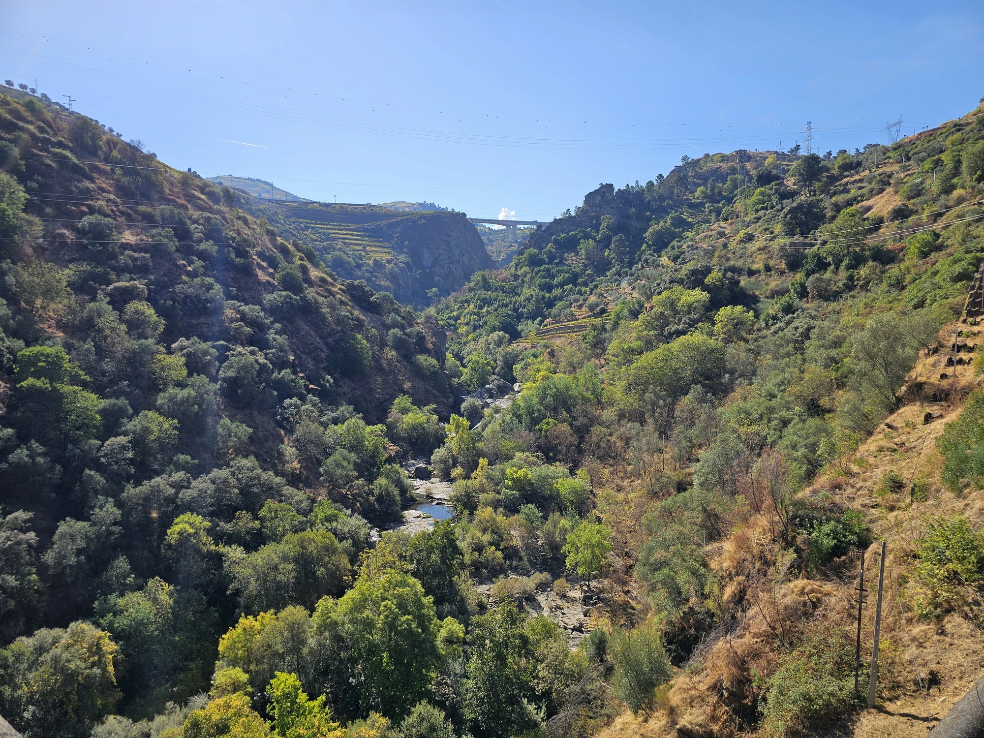 Vandring Lamego Regua