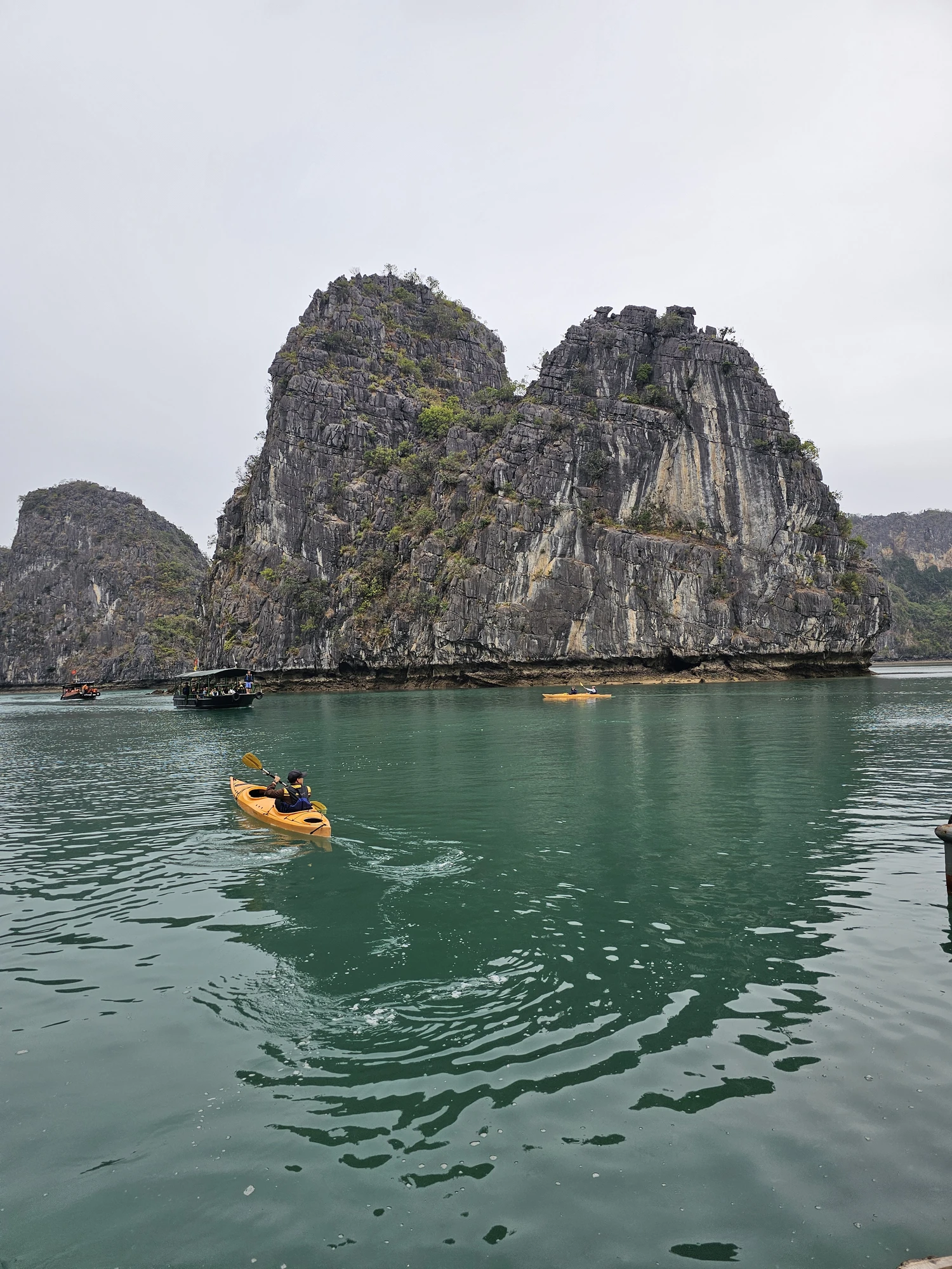 vietnam20250309 150859 20250309 150859