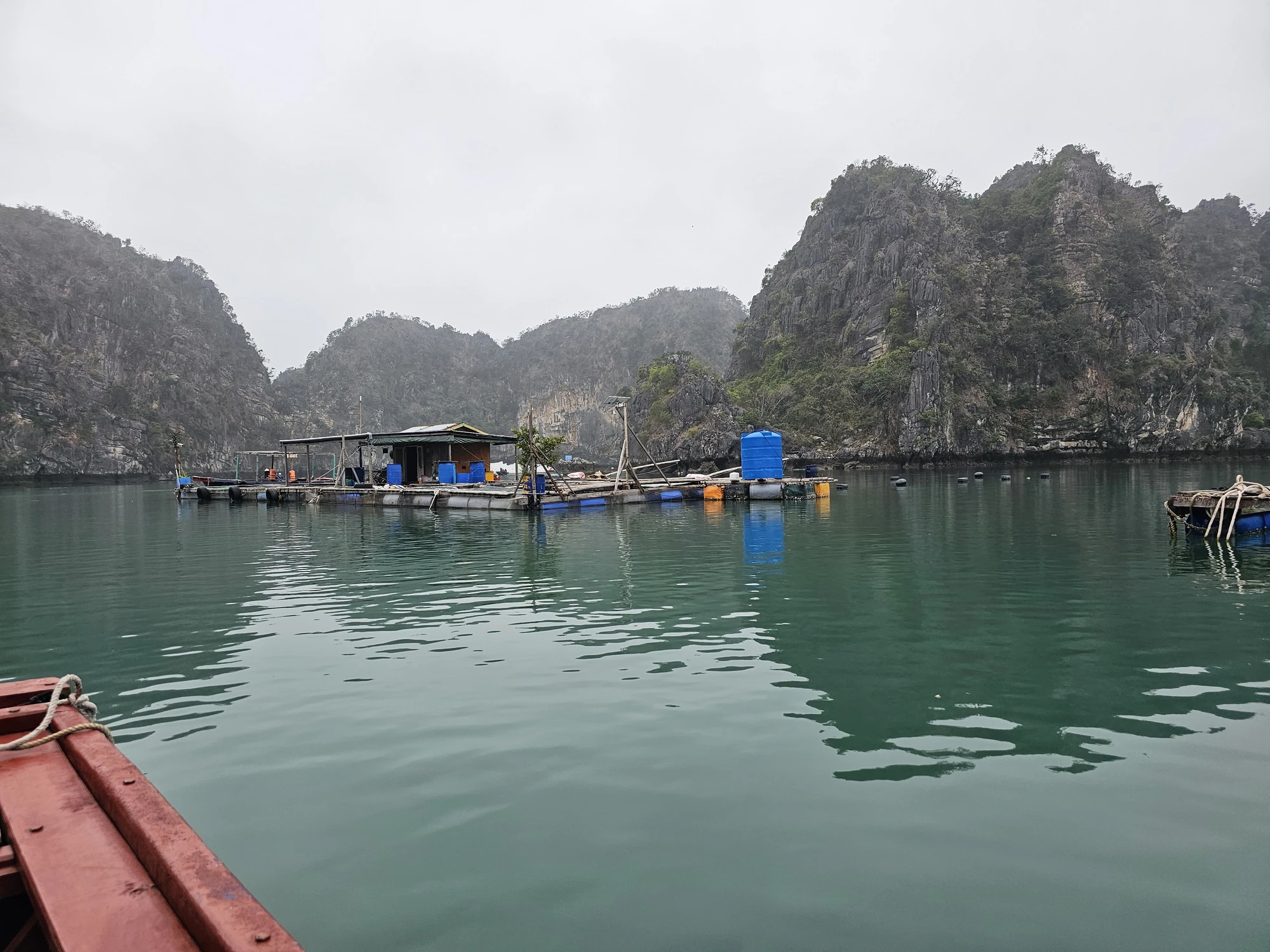 vietnam20250311 074023 20250311 074023