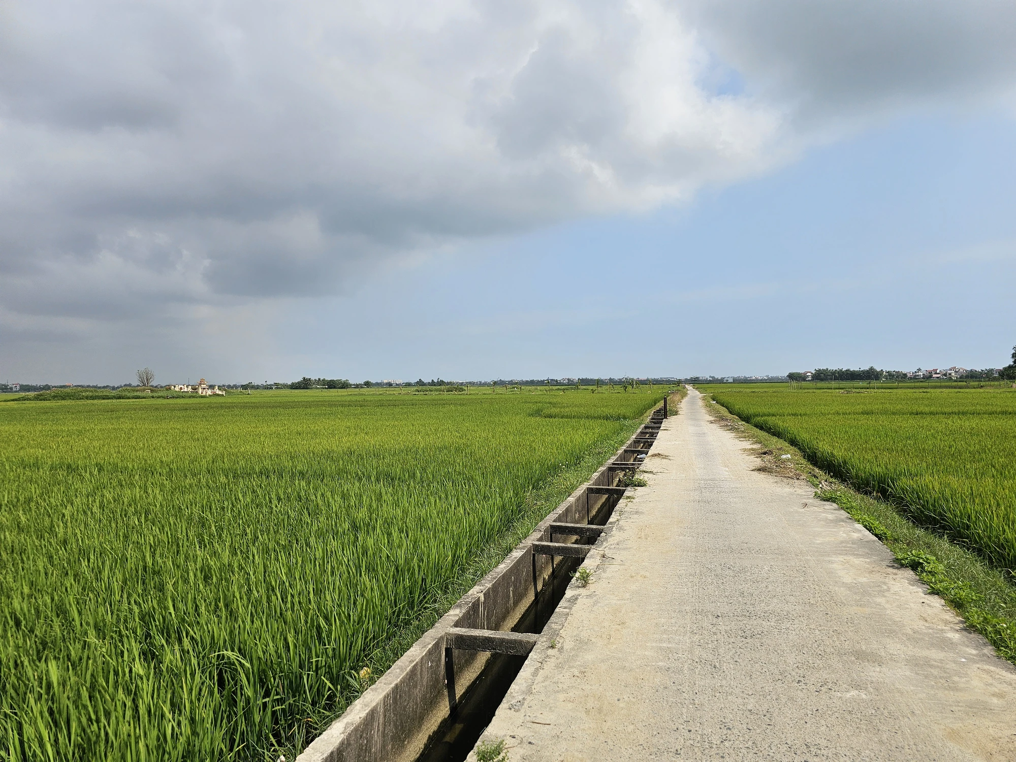 Risfält Hoi An