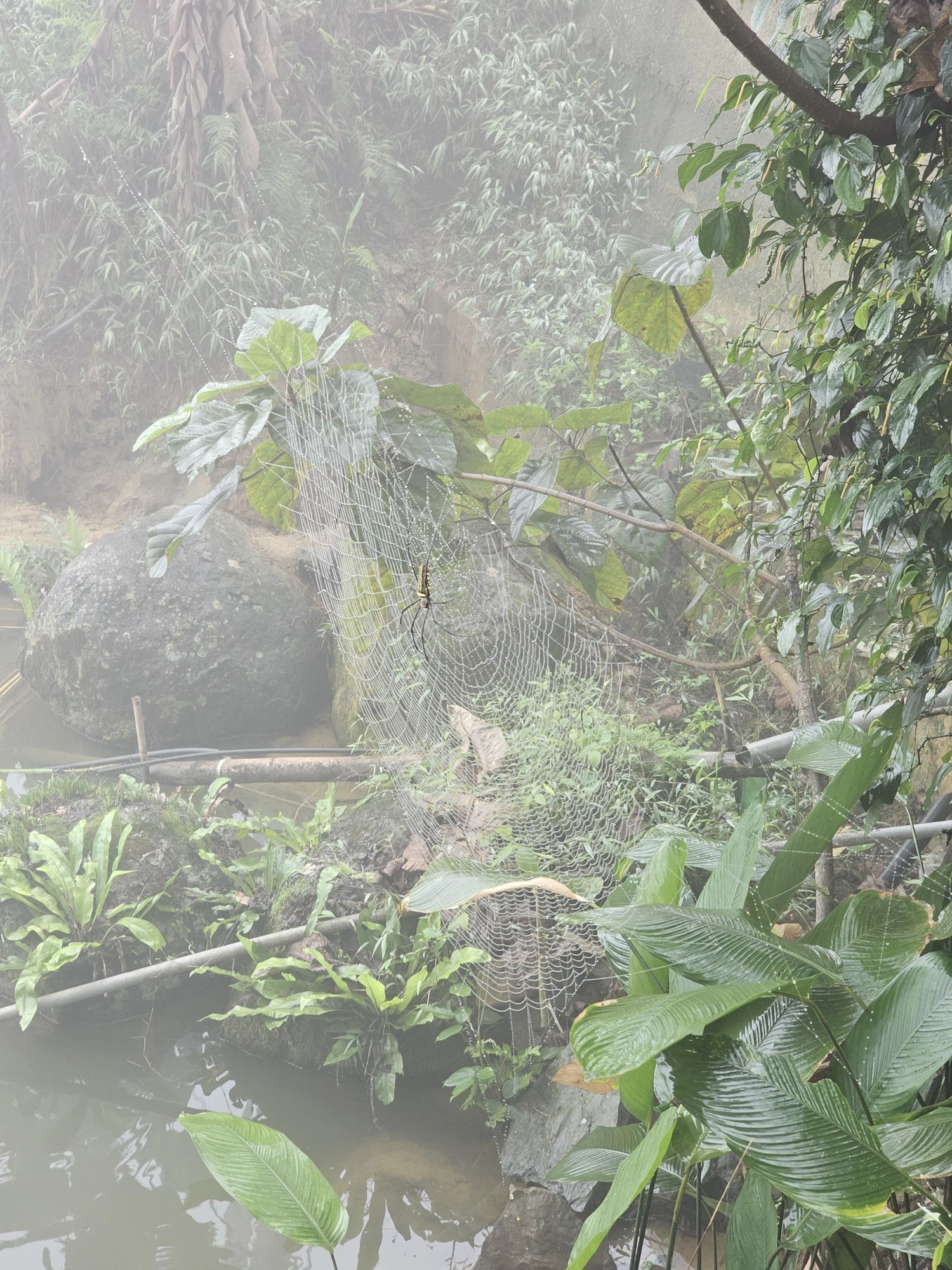 vietnam20250315 082325 20250315 082325