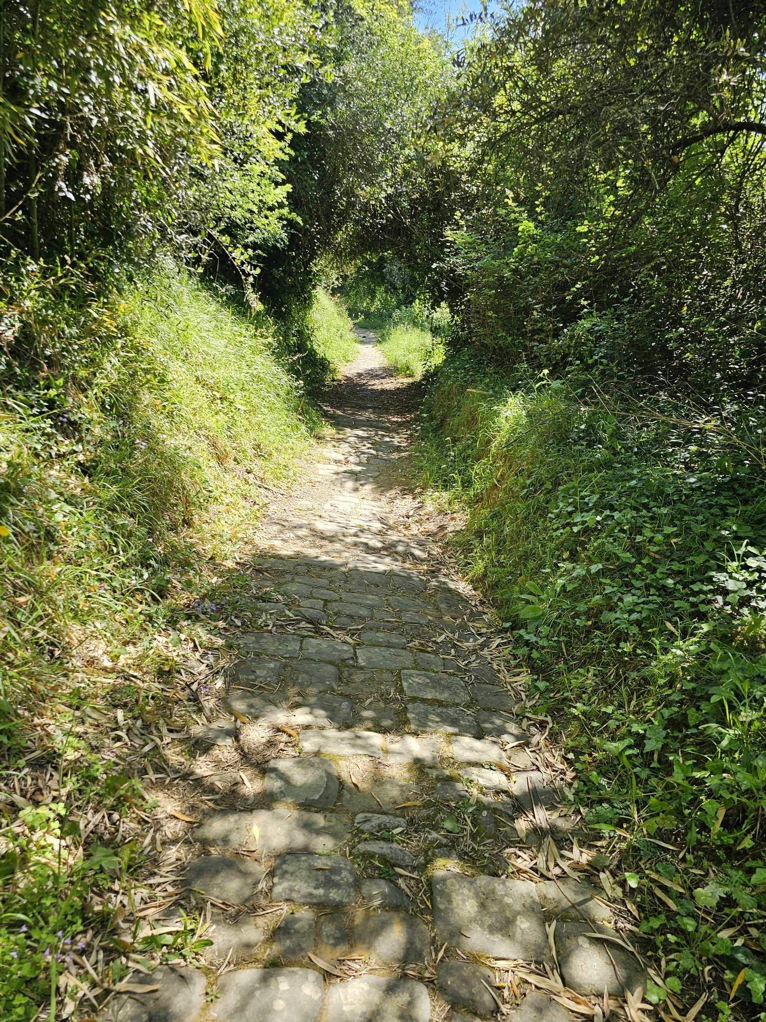 Lucca20260501 111215 021
