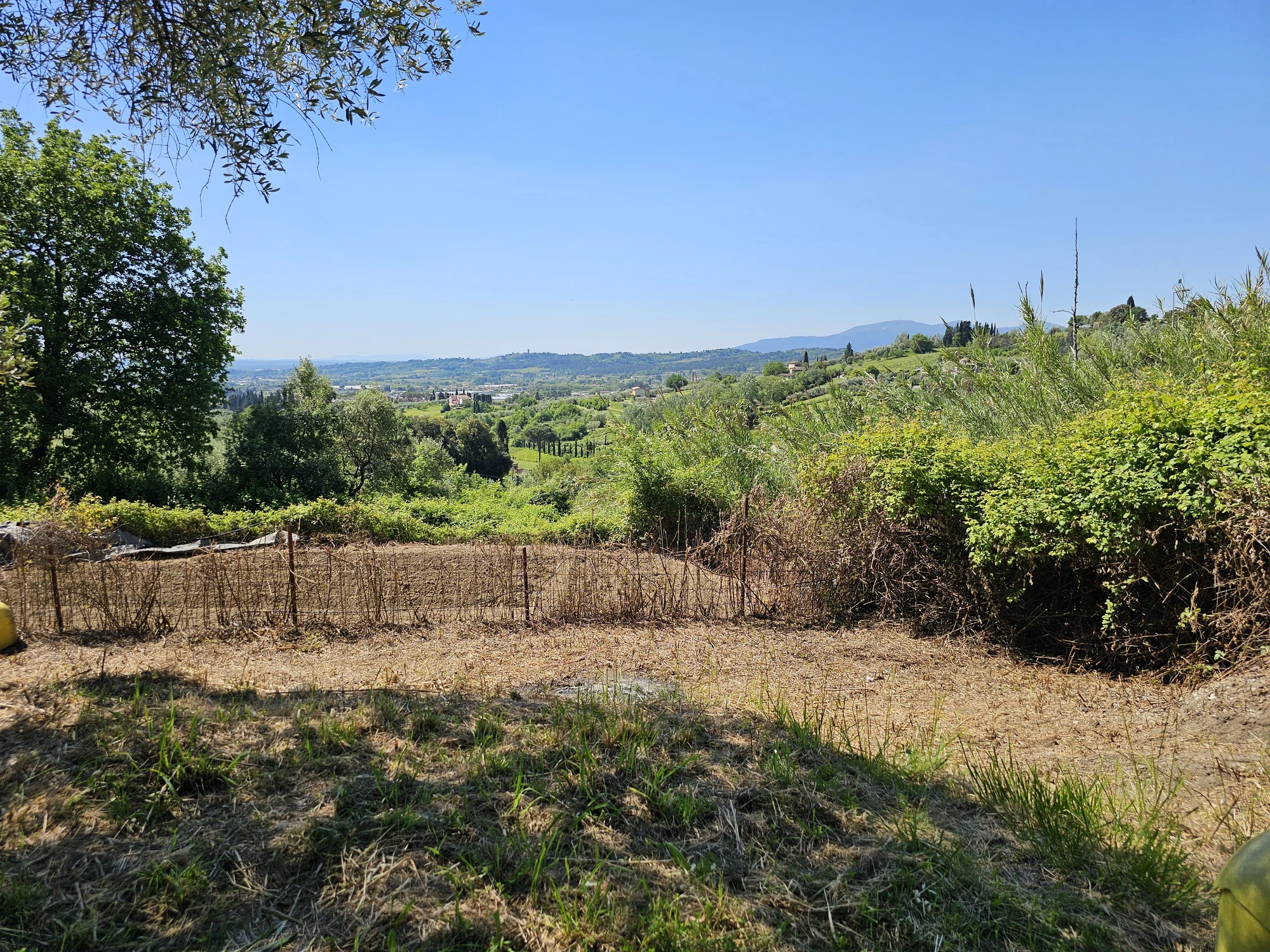 Lucca20260501 111849 022