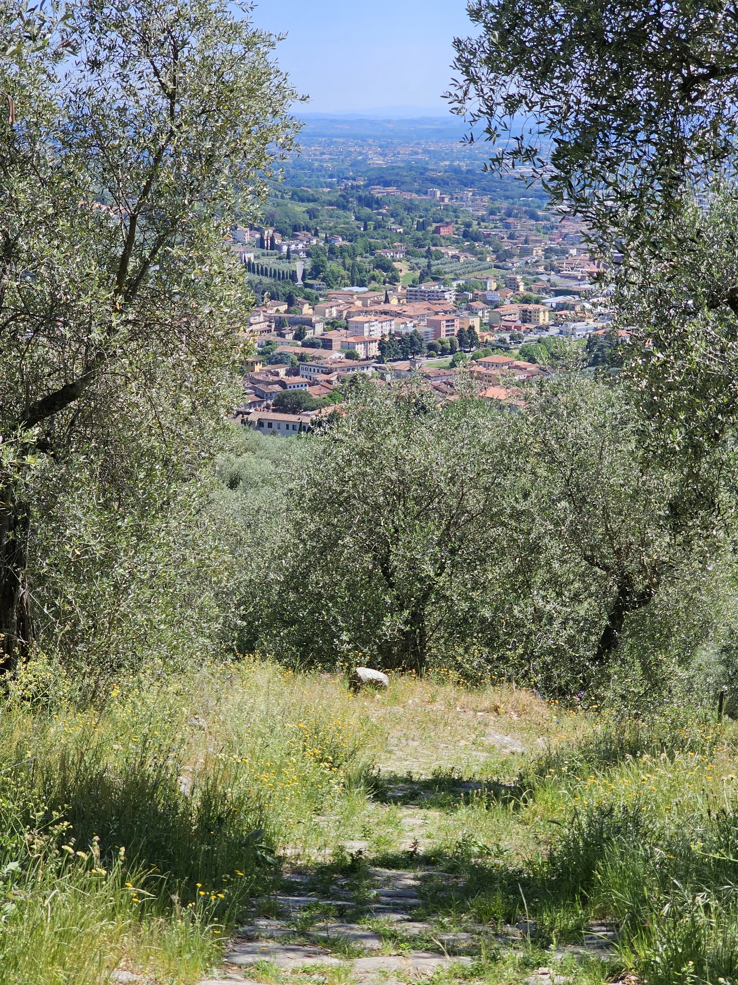 Lucca20260501 143110 006