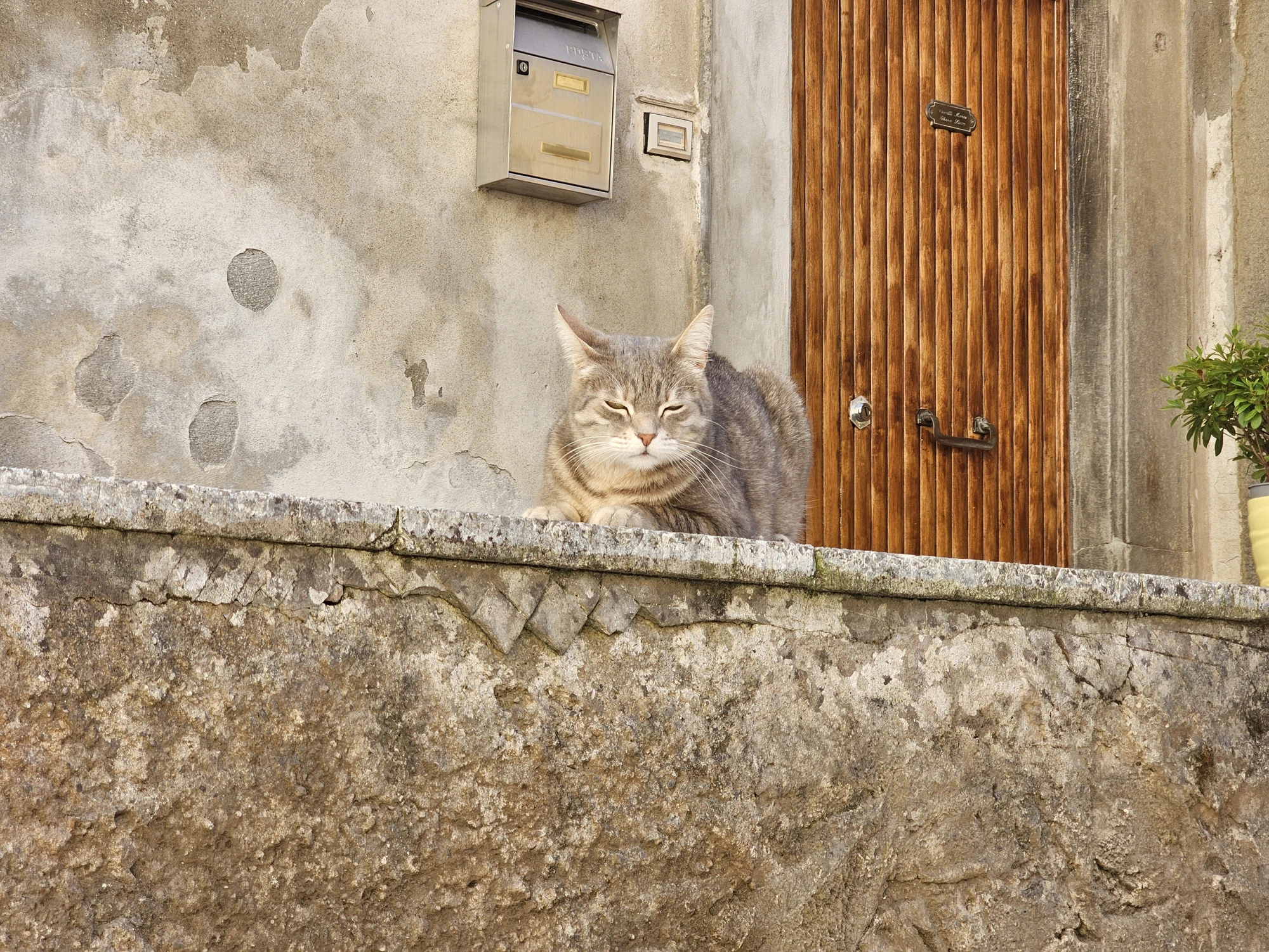 Lucca20260501 145708 007