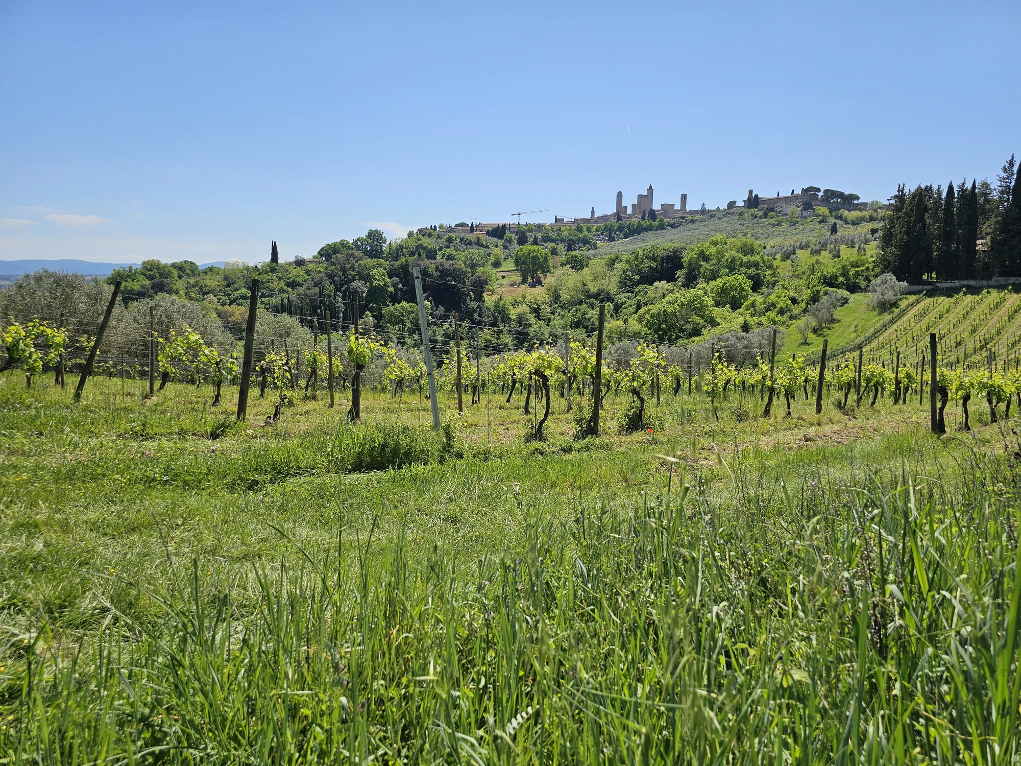 SanGimignano20260427 132544 002