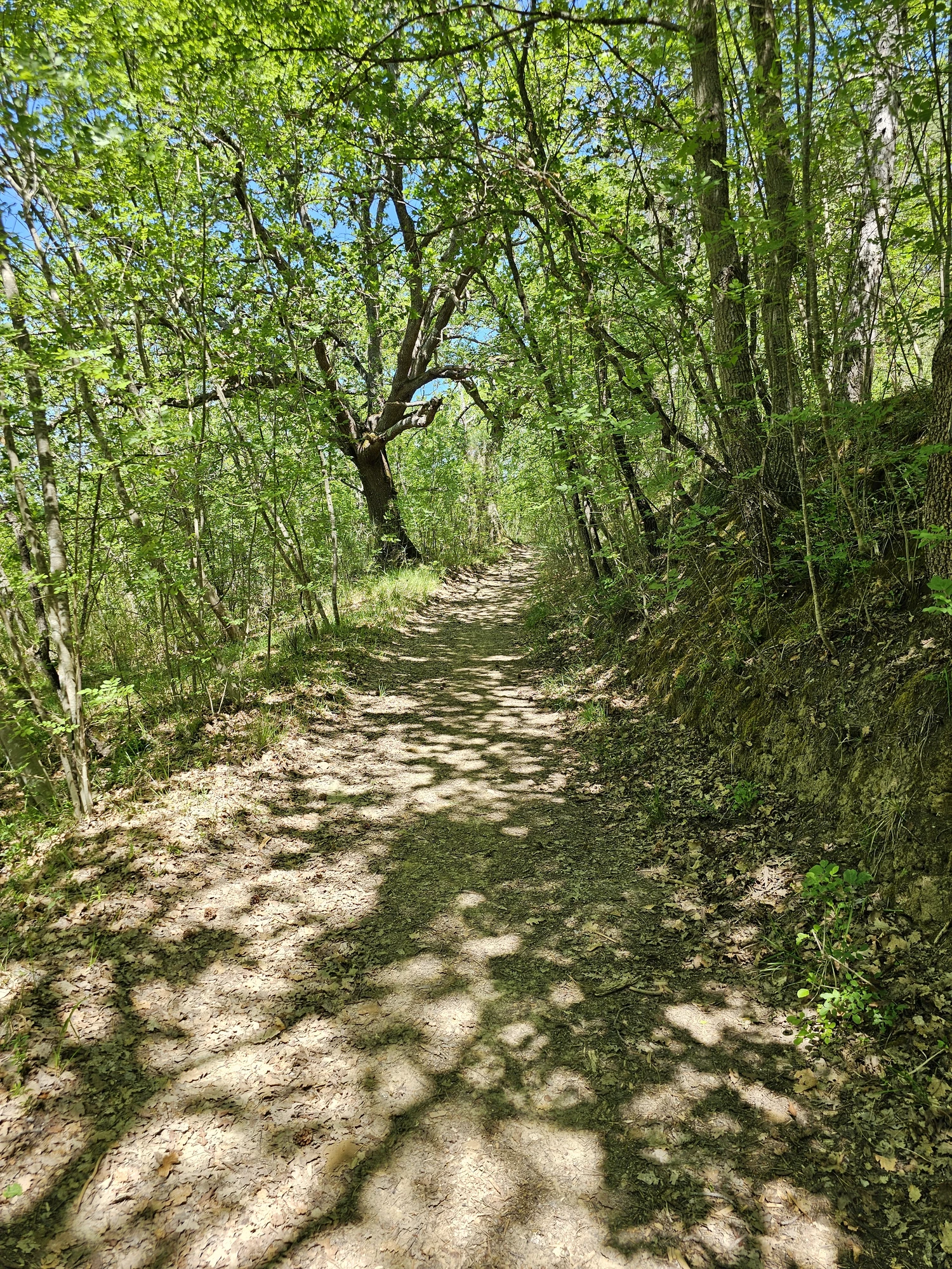 v3till520260424 125009 010