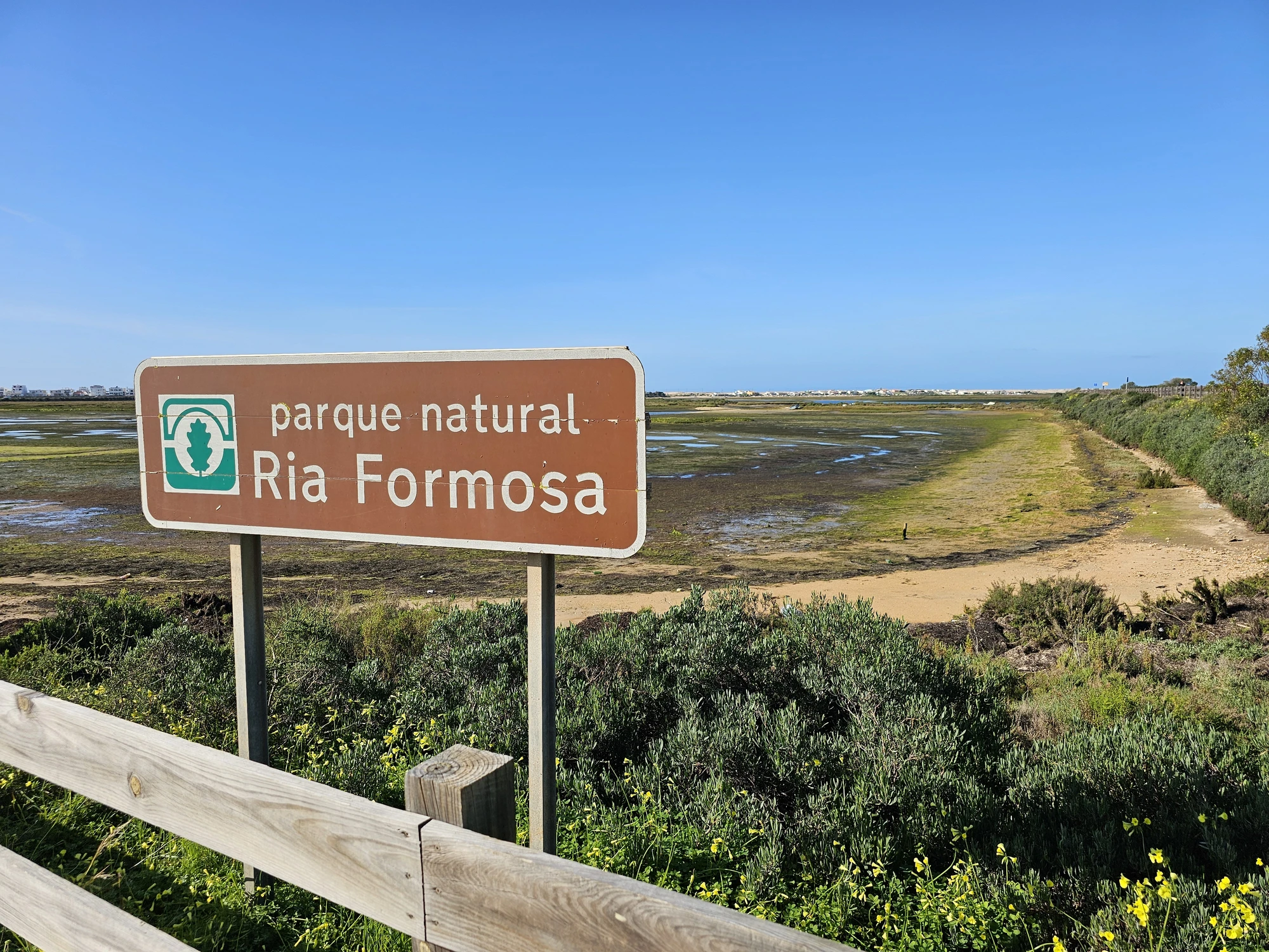 Faro20260215 101501 001