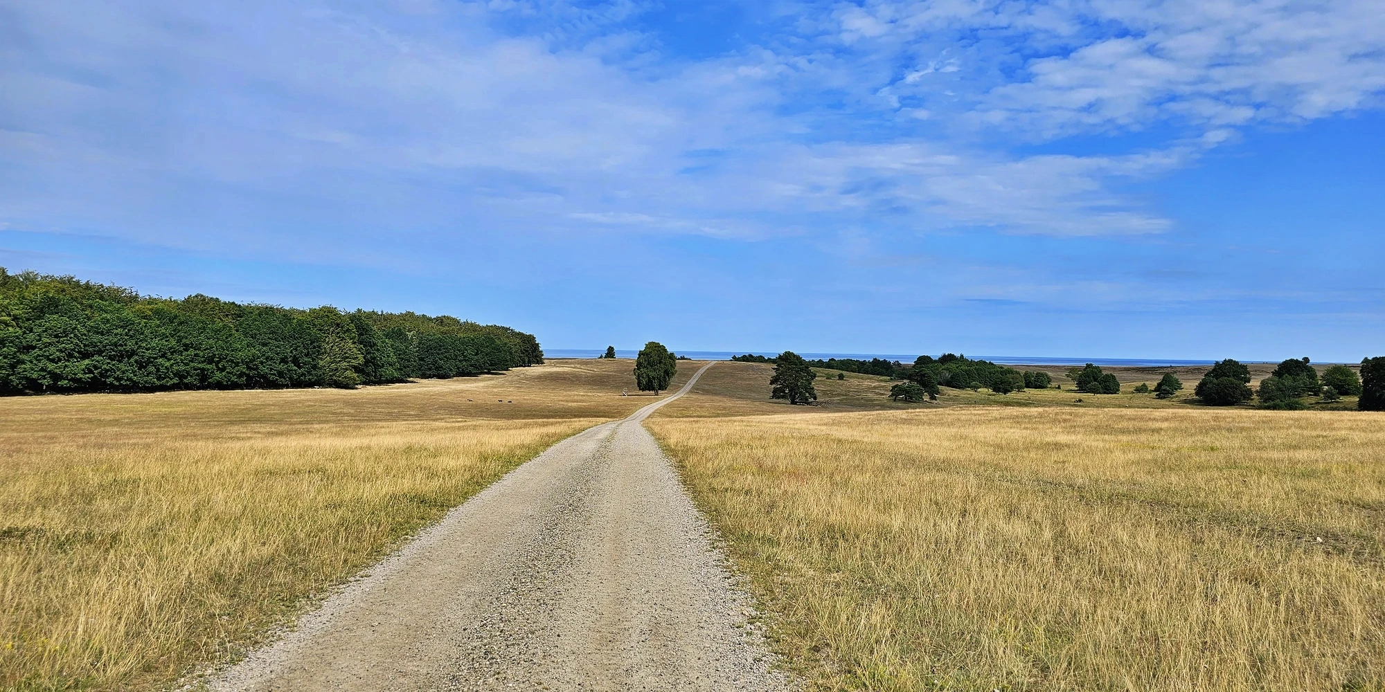 Skåne Juli