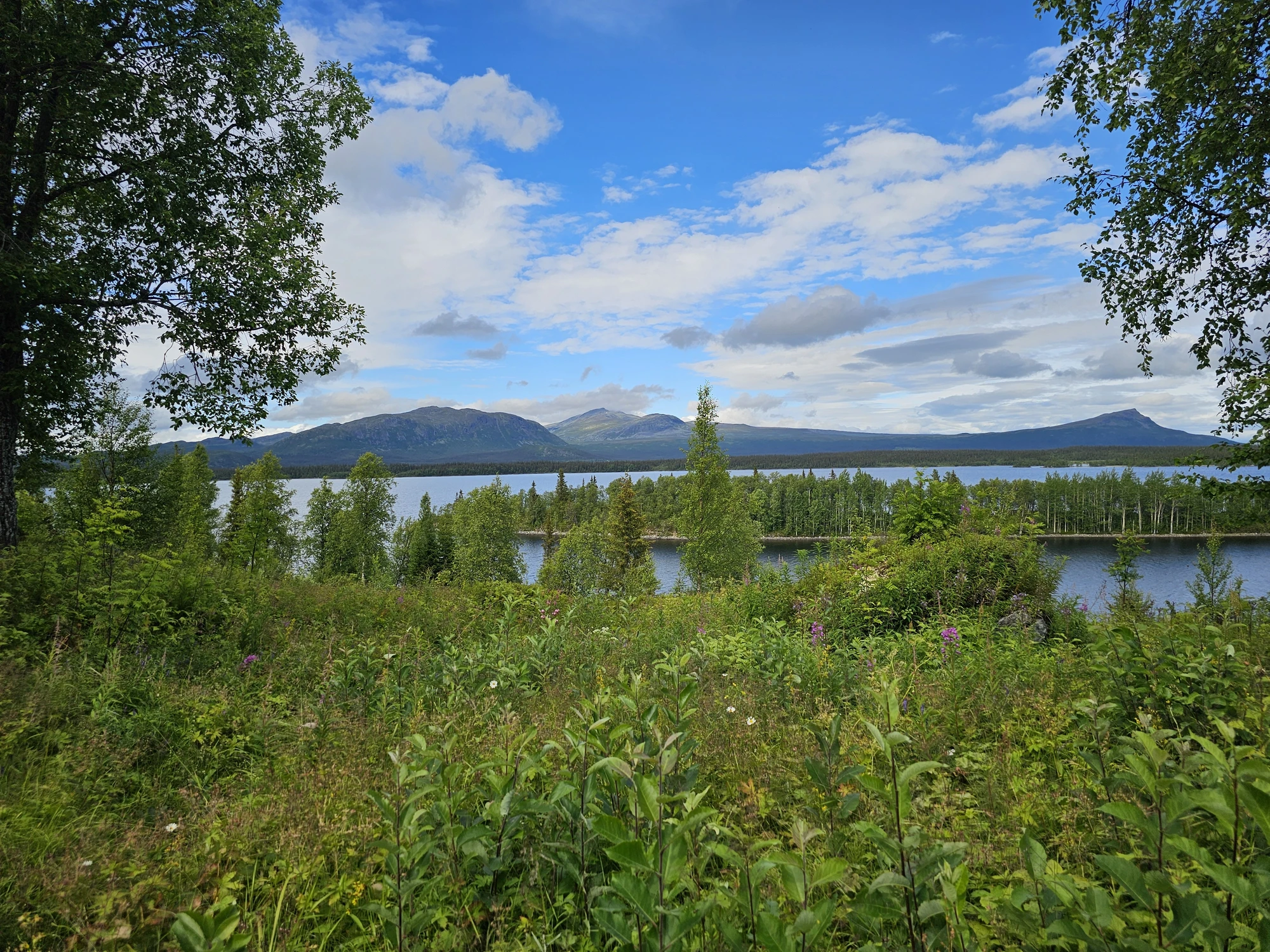 Vy från Saxnäs