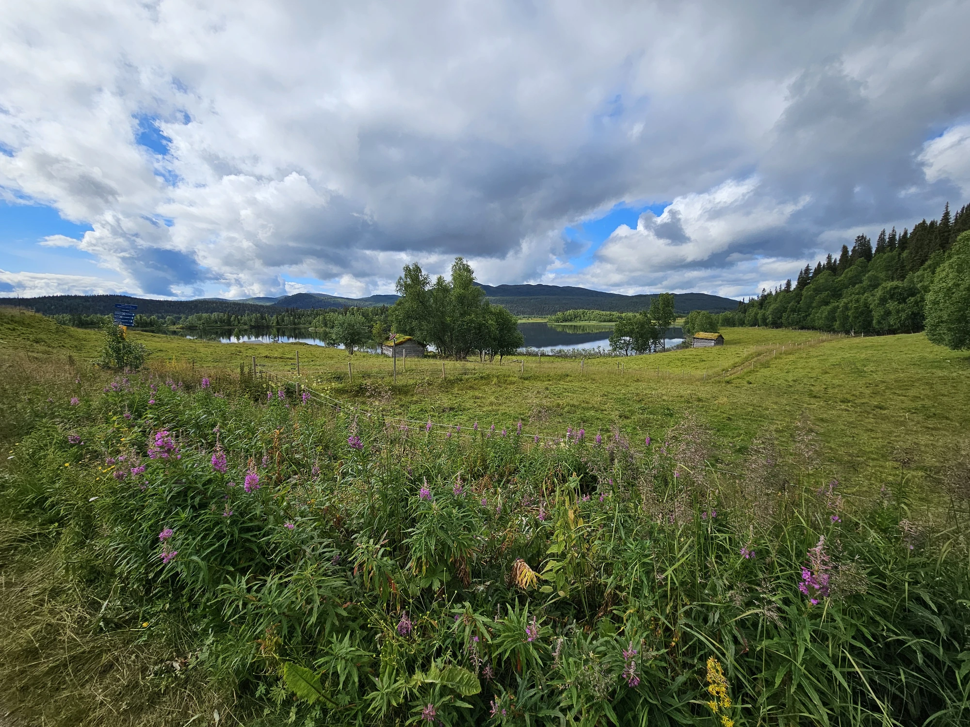 Inledning av vandringen i Bjurälvens Naturreservat