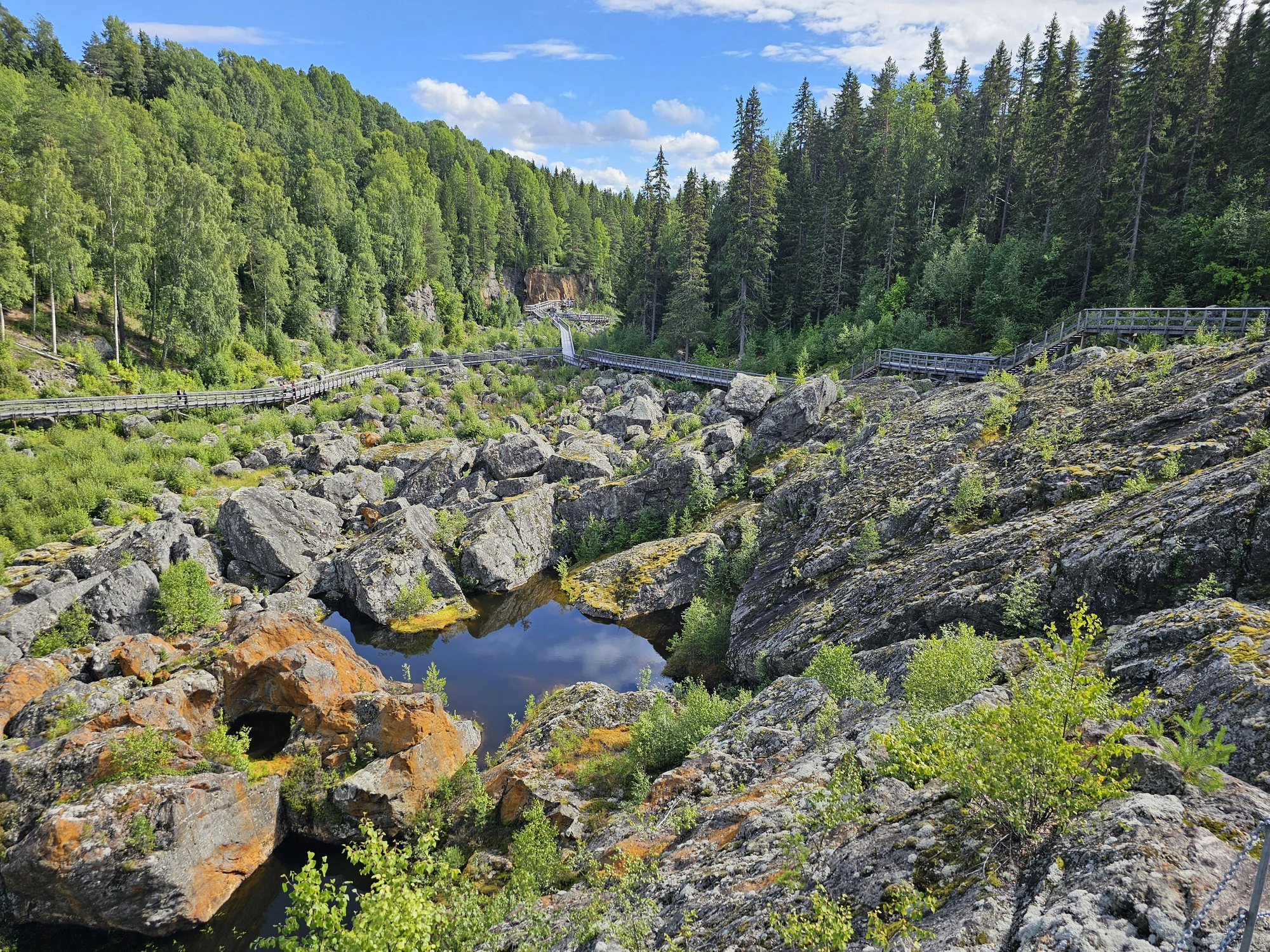 På väg hem, Döda fallet