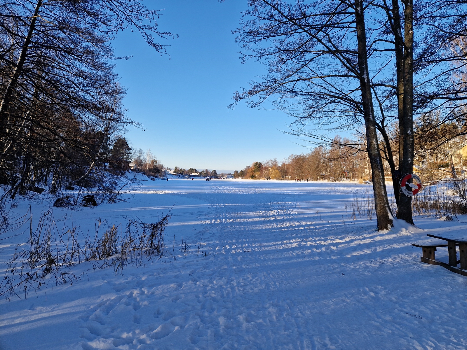 Promenad Långsjön runt 20 januari