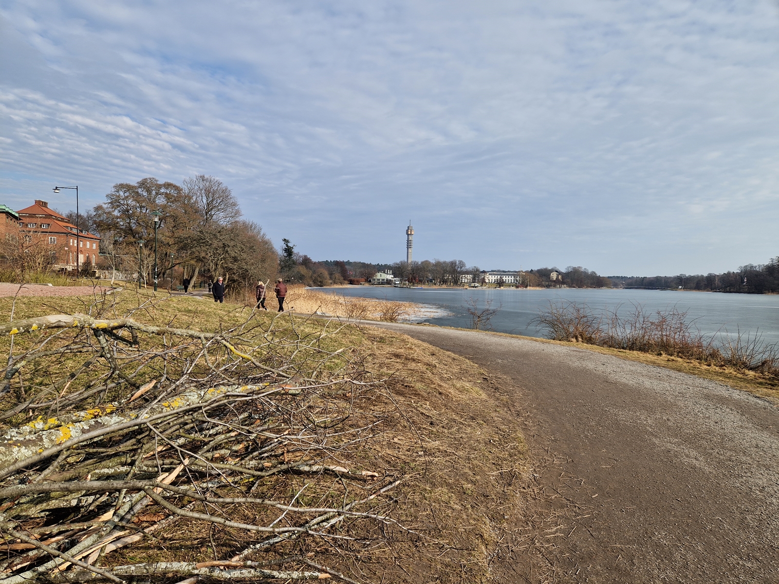 Promenad kring Gärdet 3 mars med Kaknästornet 