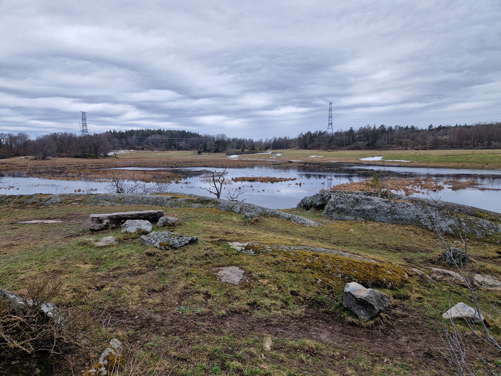 Promenad kring Ågesta vid fågelskådningsstället